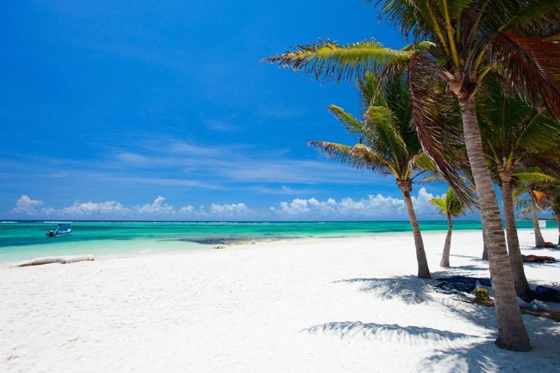 Excursión a Tulum y Akumal — 12/13