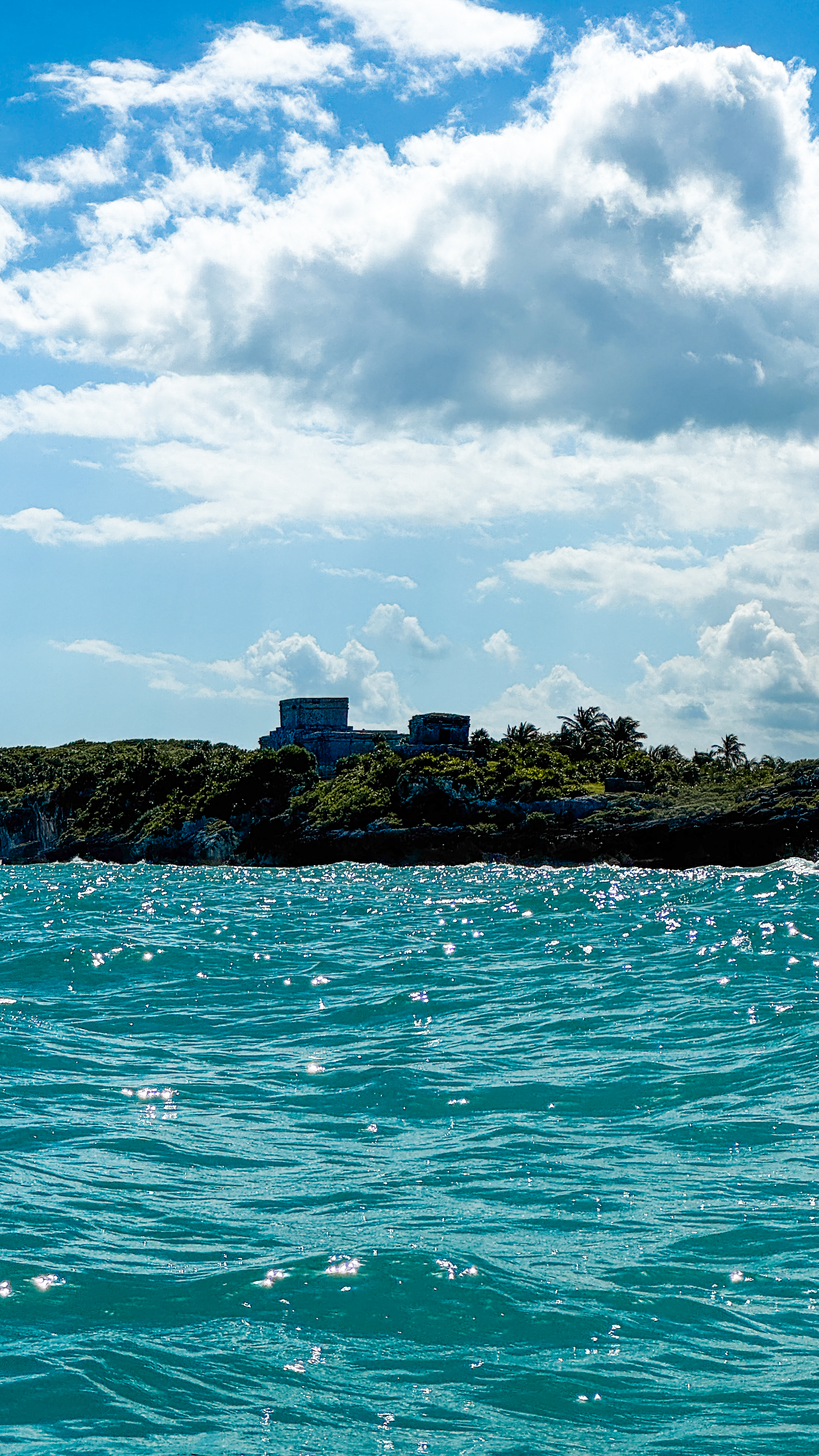 1.5 hours Snorkeling at Tulum's paradise reef — 84/92