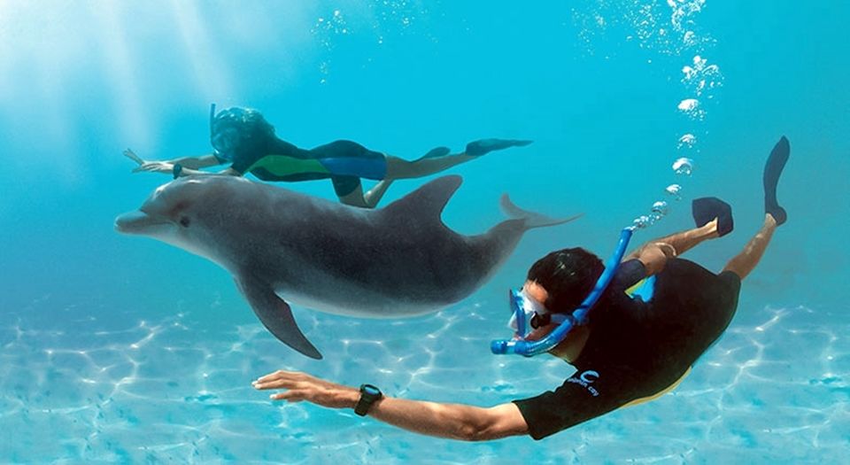 Dolphin House Trip - 3
