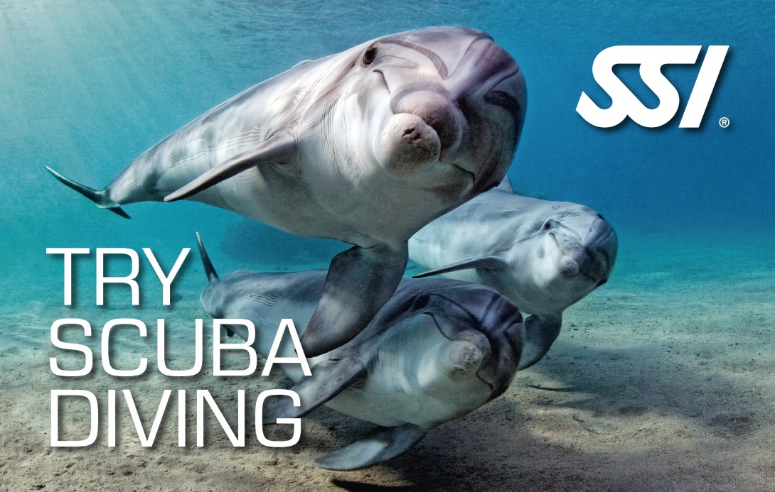 Experiencia de buceo — SSI Discovery Dive