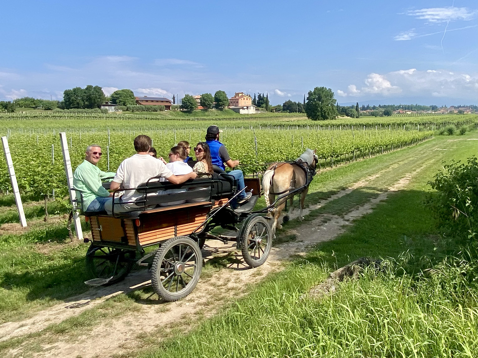 Horse Carriage Tour in Lazise: Romantic Lake Garda Experience - Photo 11