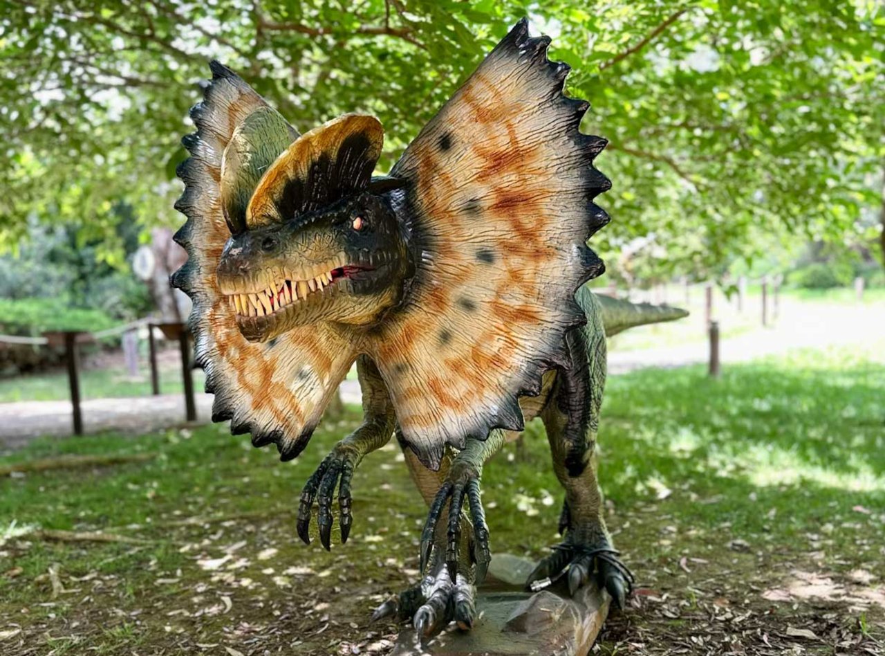 Discover dinosaurs in Porto Conte Park in Alghero - Photo 5