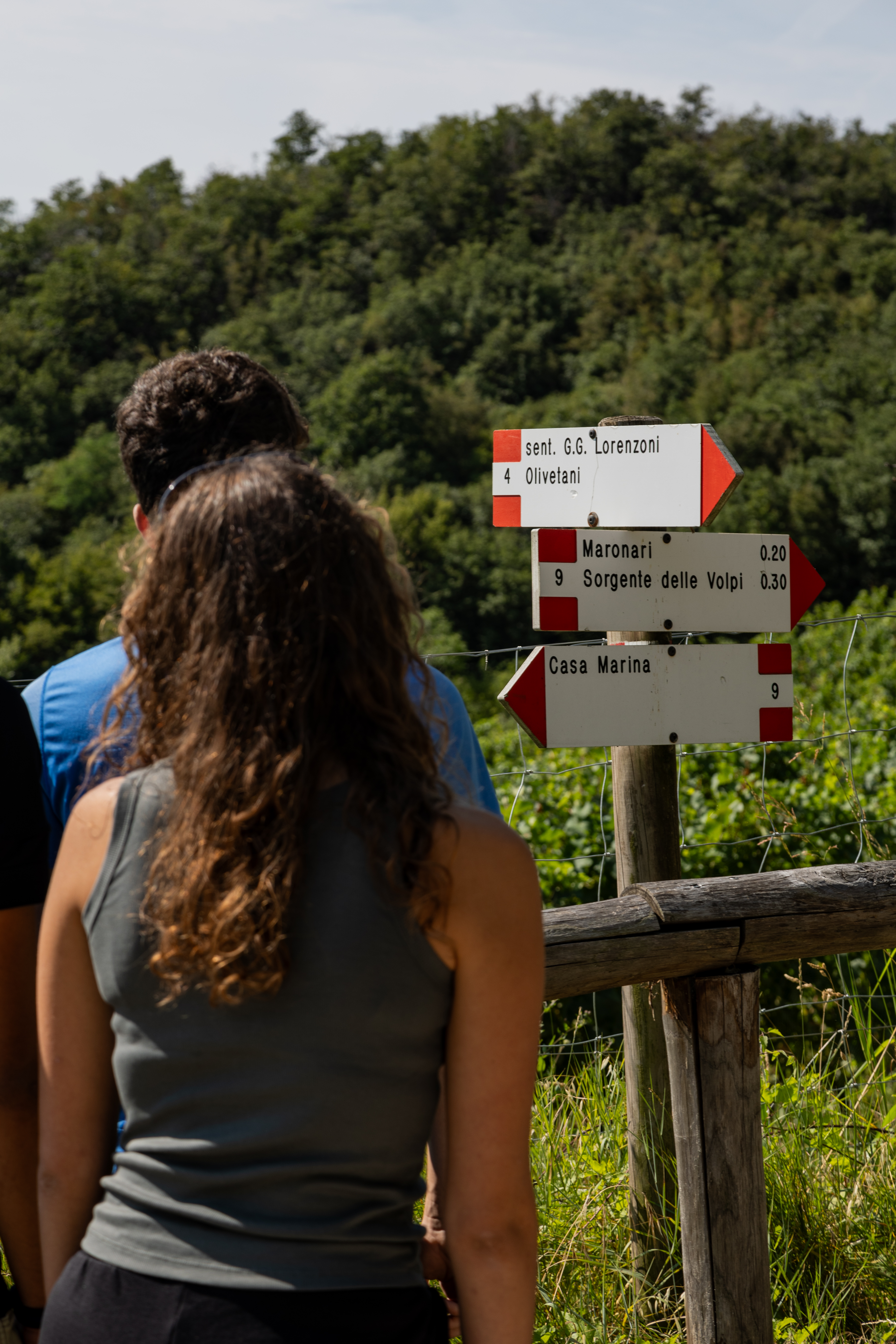  Hiking in the Euganean Hills - Photo 7