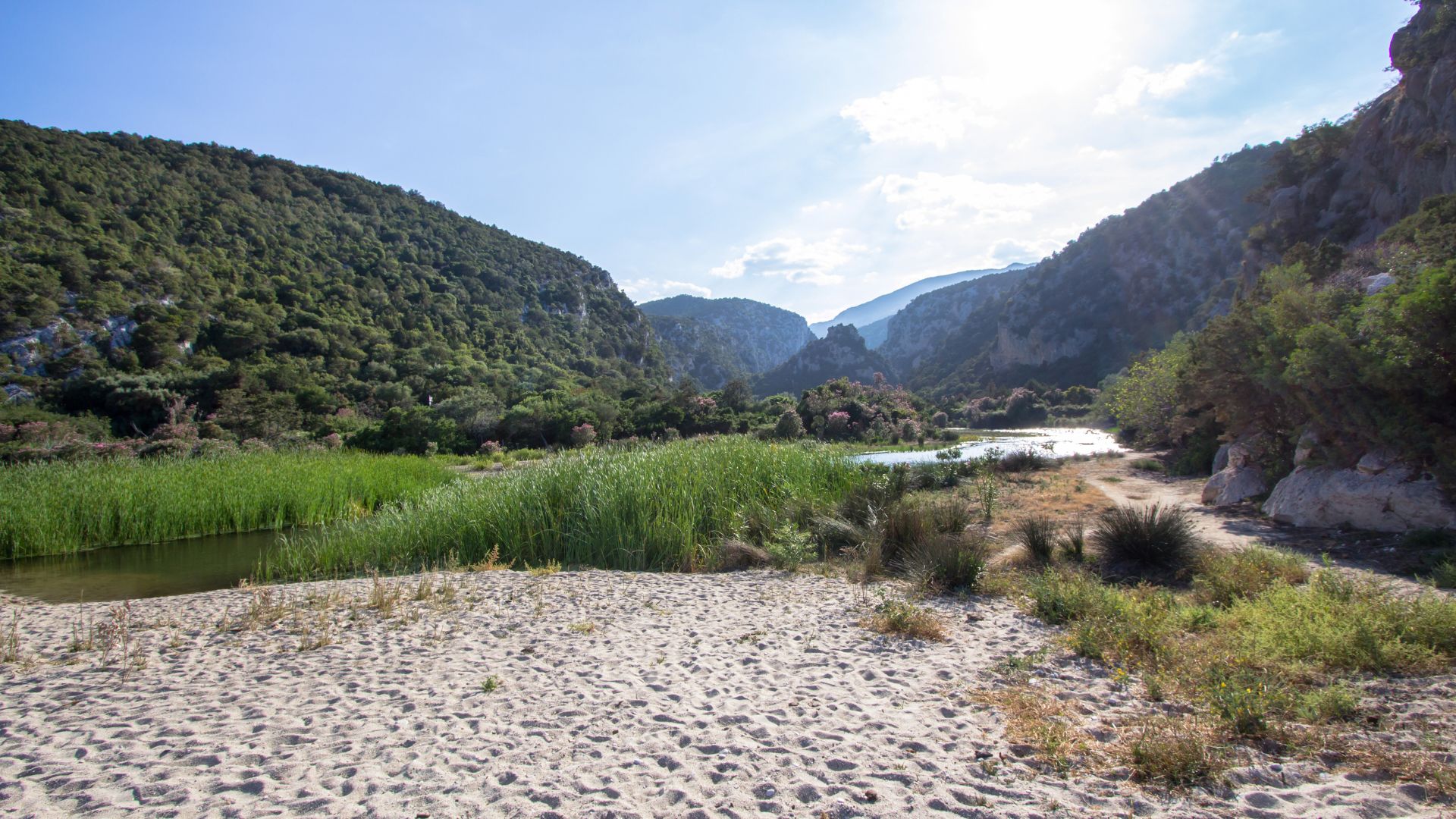 From Dorgali: trekking to Cala Luna - Photo 13