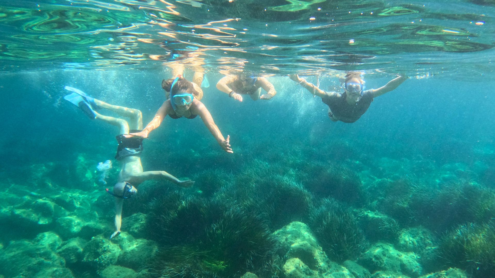 Cala Gonone: snorkeling in the Orosei Gulf - Photo 12