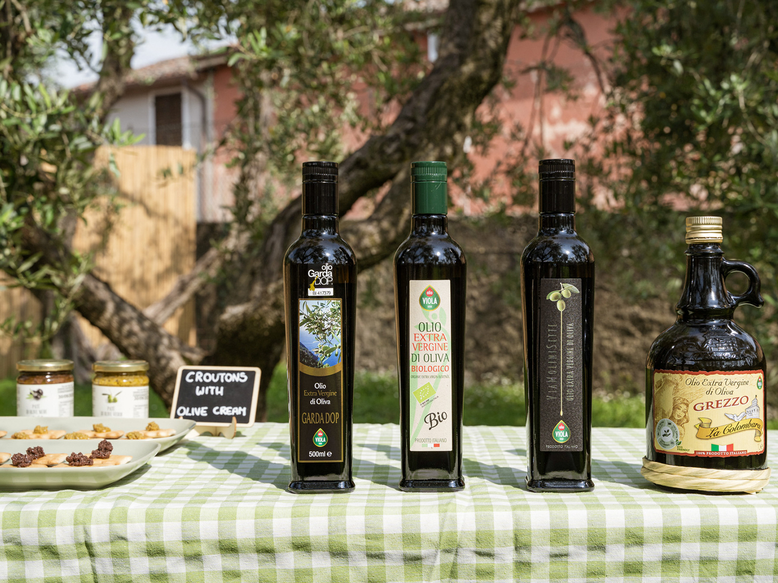 Lake Garda Olive Oil Tour and Tasting Experience - Photo 15