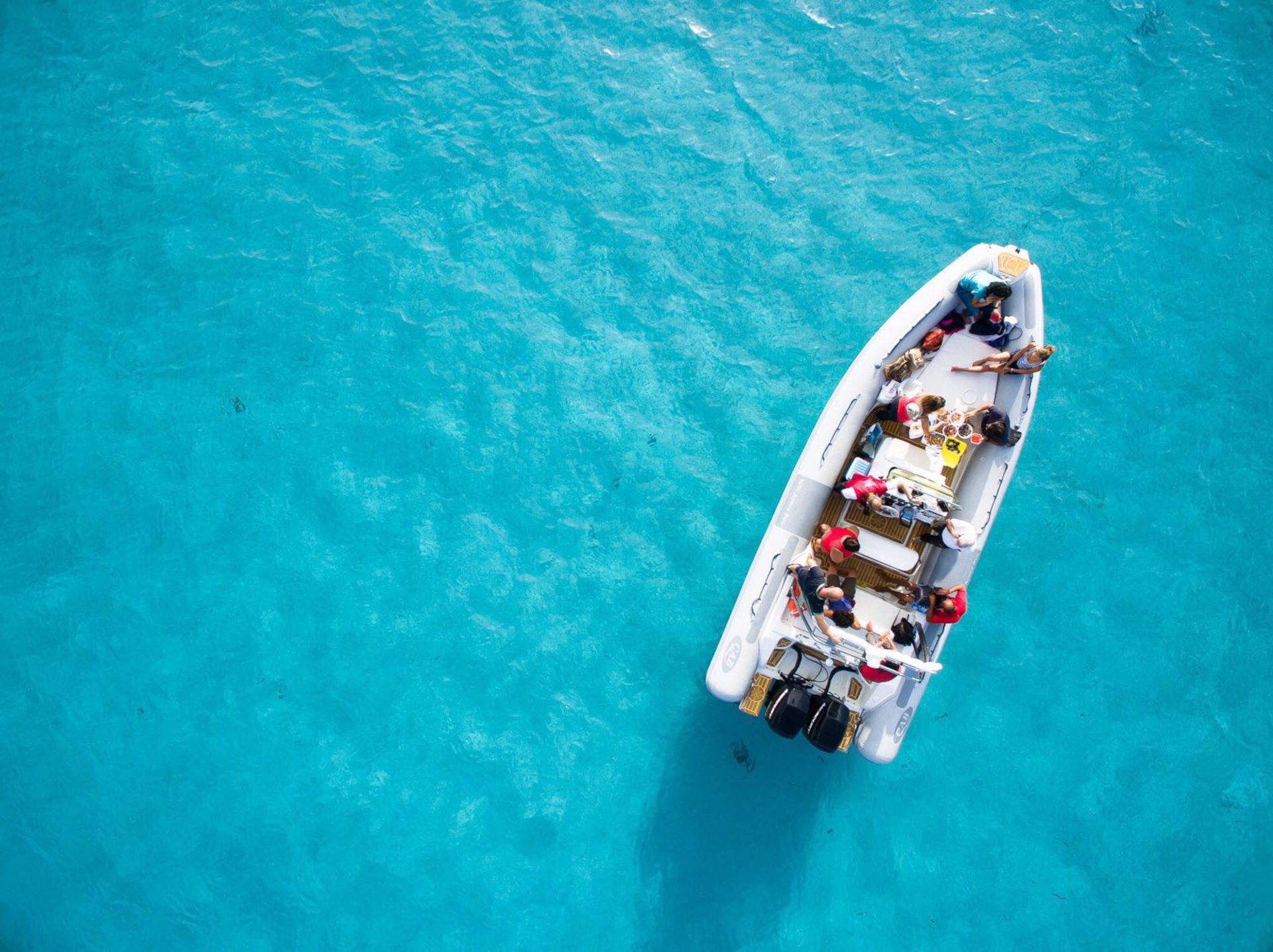 From Stintino: RIB tour in the gulf of Asinara - Photo 4
