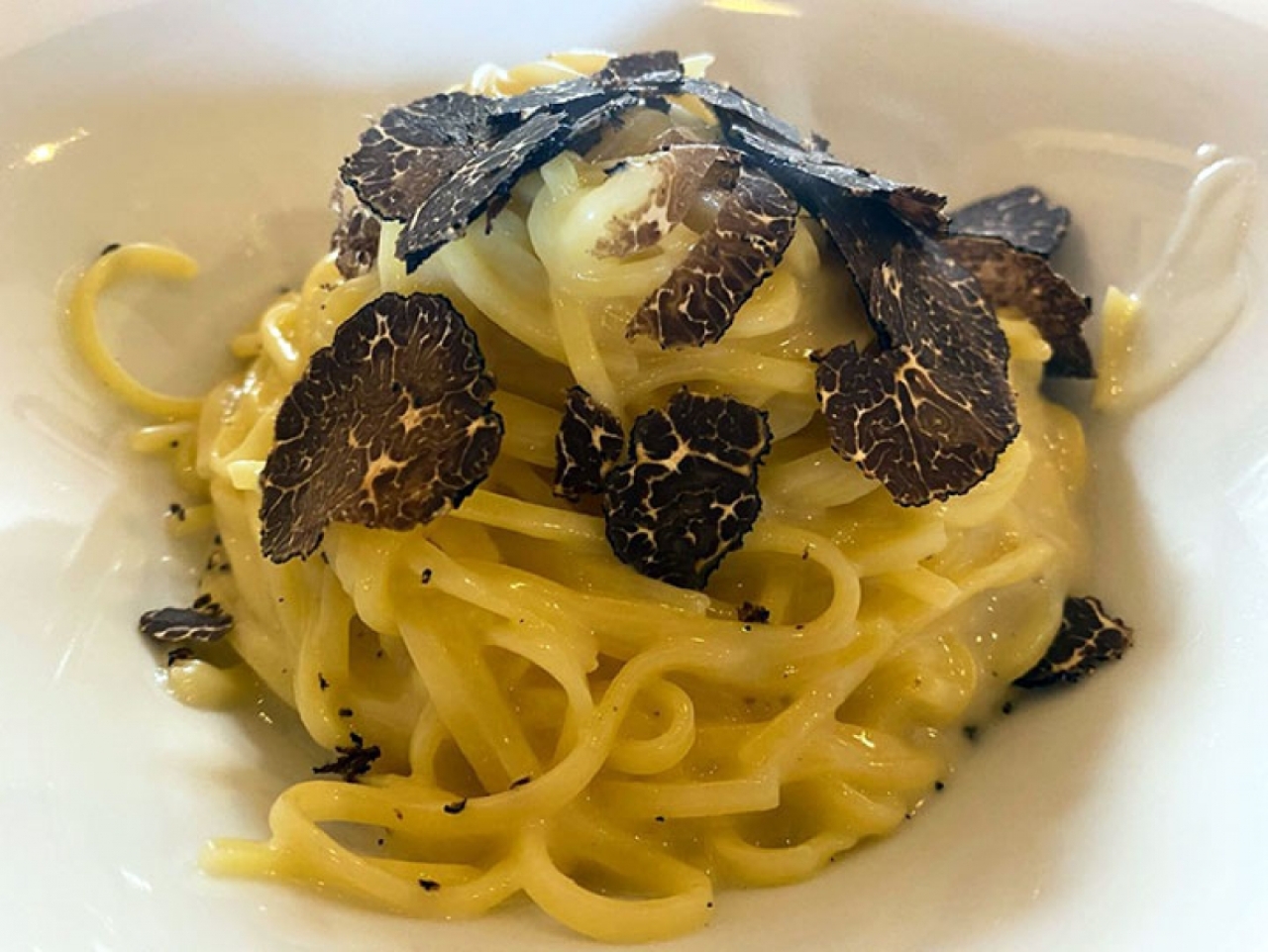 Truffle Experience at Frantoio Buonamici in Fiesole - Photo 13