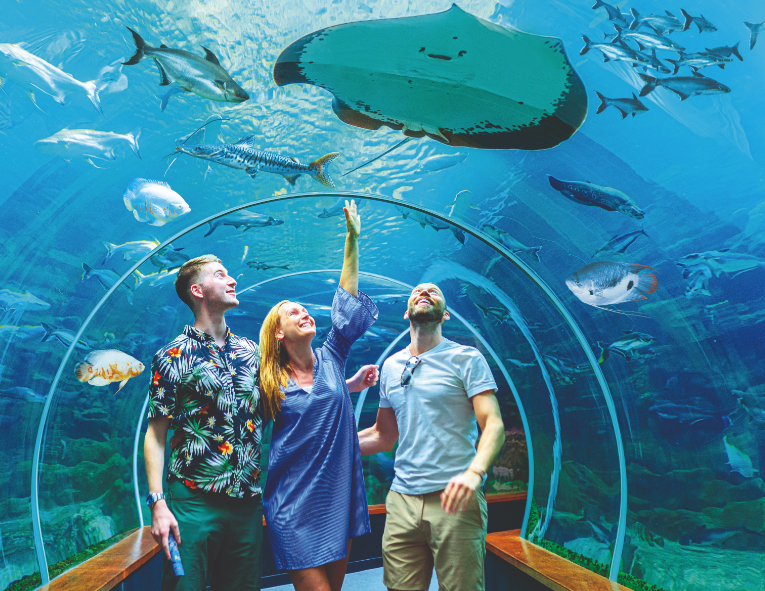 Entrance to Poema del Mar