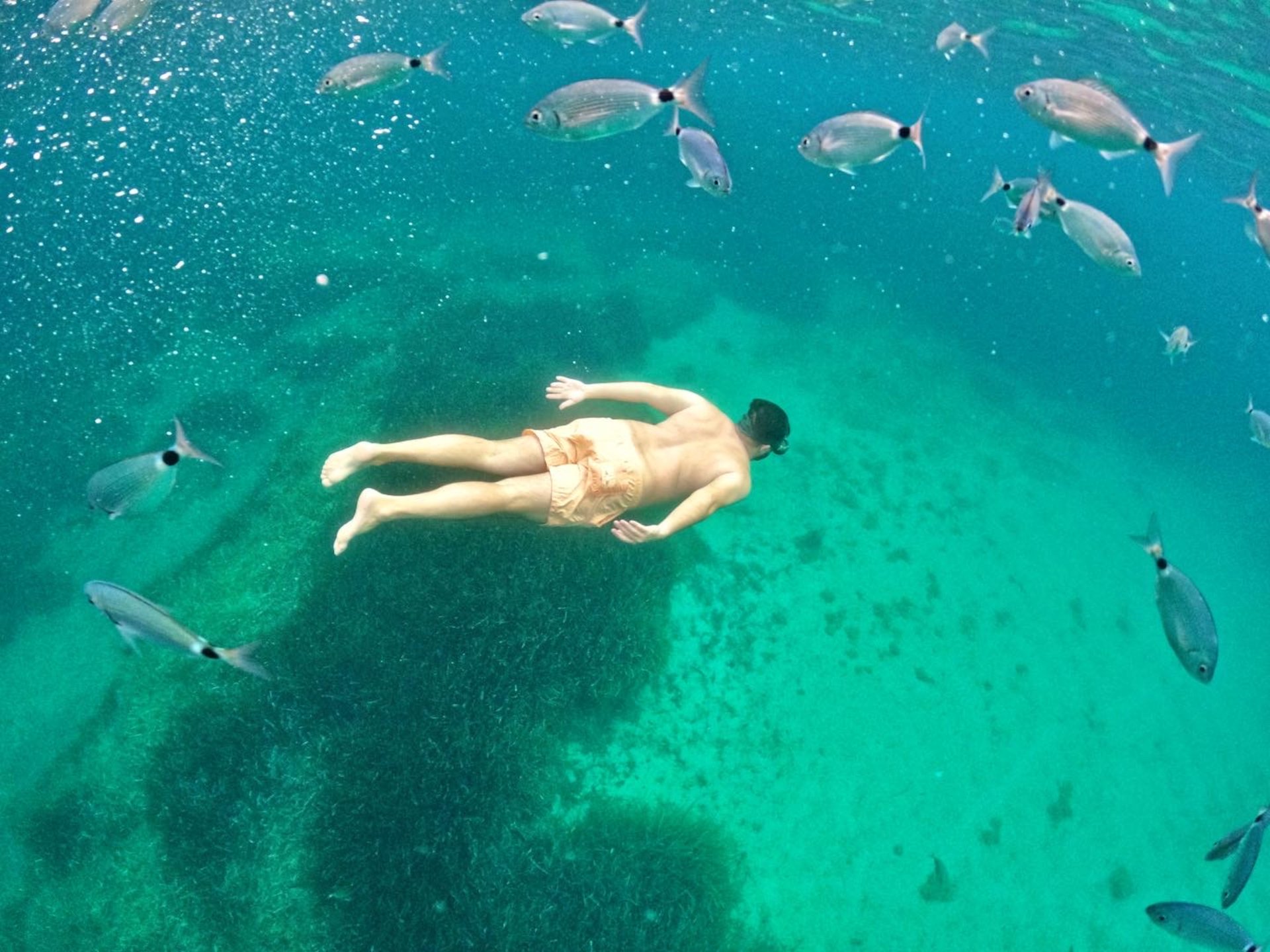 Alghero: dinghy tour with snorkeling in Porto Conte and Capo Caccia - Photo 6