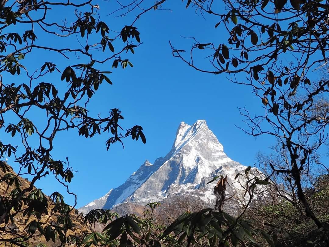 Day 9: Dovan to Machhapuchhre Base Camp 1