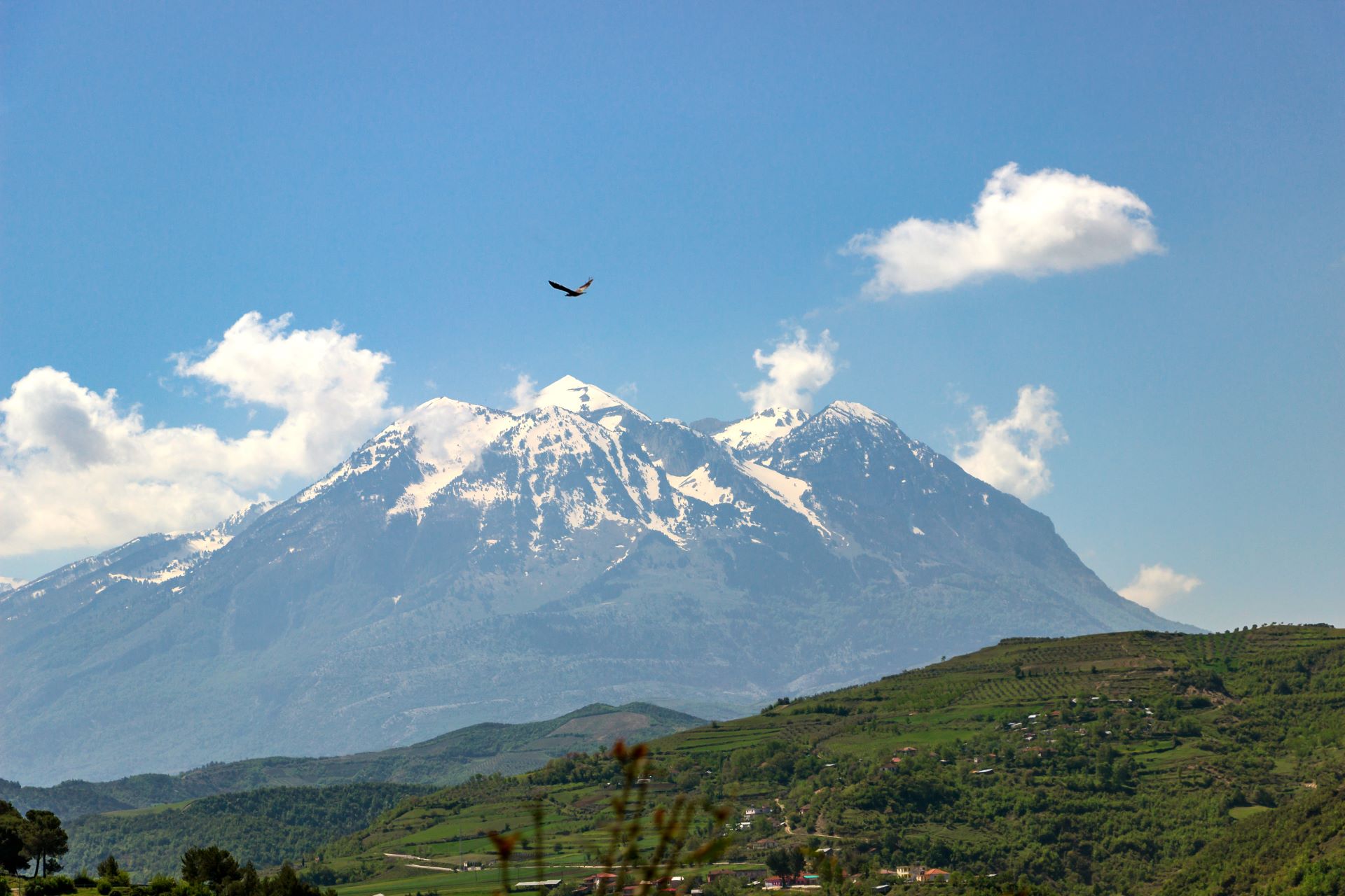 Full-day tour from Berat to Mount Tomorr - Photo 4