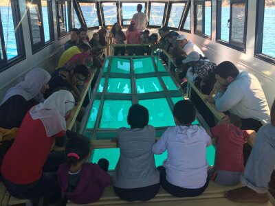 Tour en barco con fondo de cristal: explore las maravillas del Mar Rojo "Tour familiar" - Foto 5