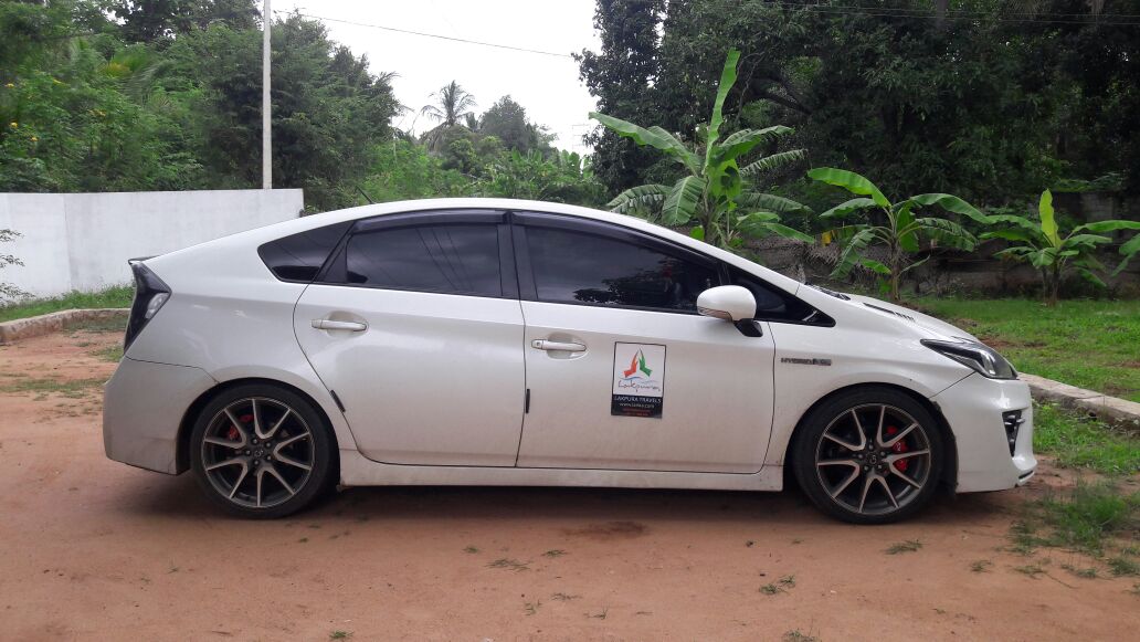 Hikkaduwa to Udawalawe City Private Transfer