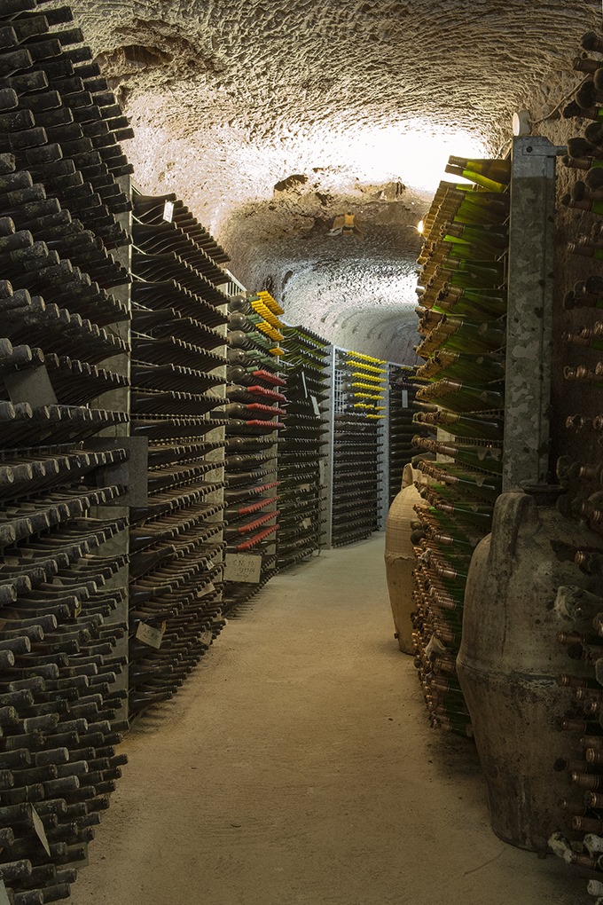 Sant'Agata de' Goti: Wine Tasting and Cellars visit  - Photo 4