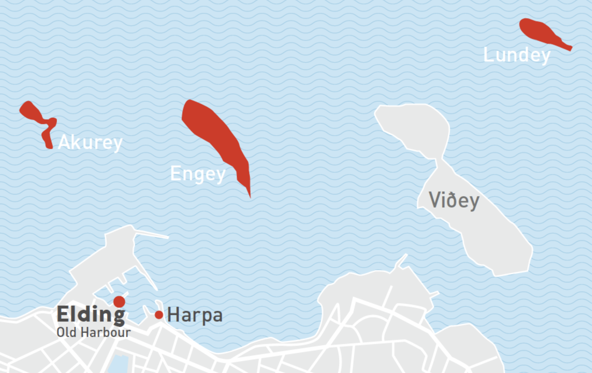 Reykjavík Classic Puffin Watching