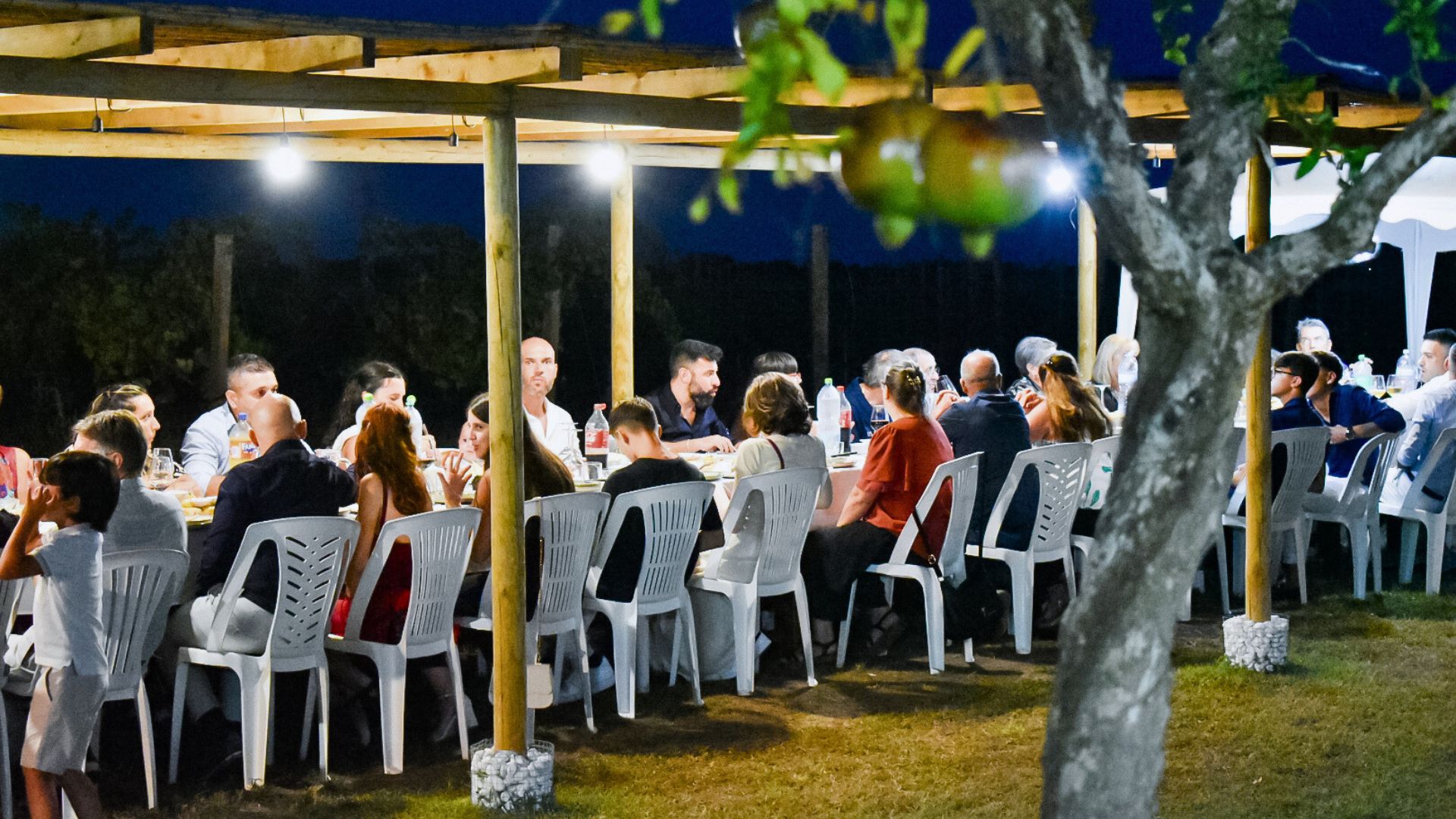 Alghero: lunch or dinner in the vineyard - Photo 4
