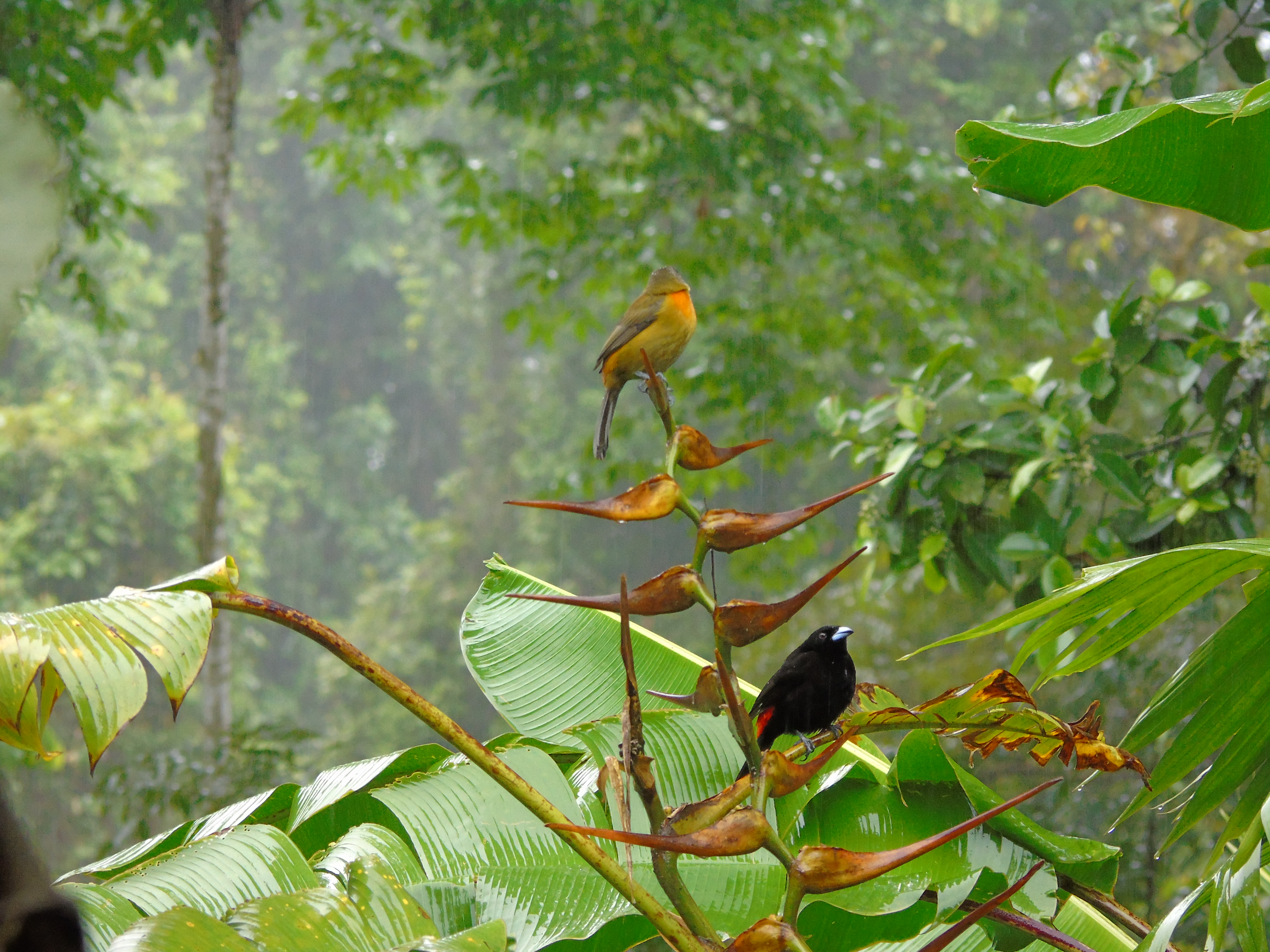 Bird Watching Tour 6