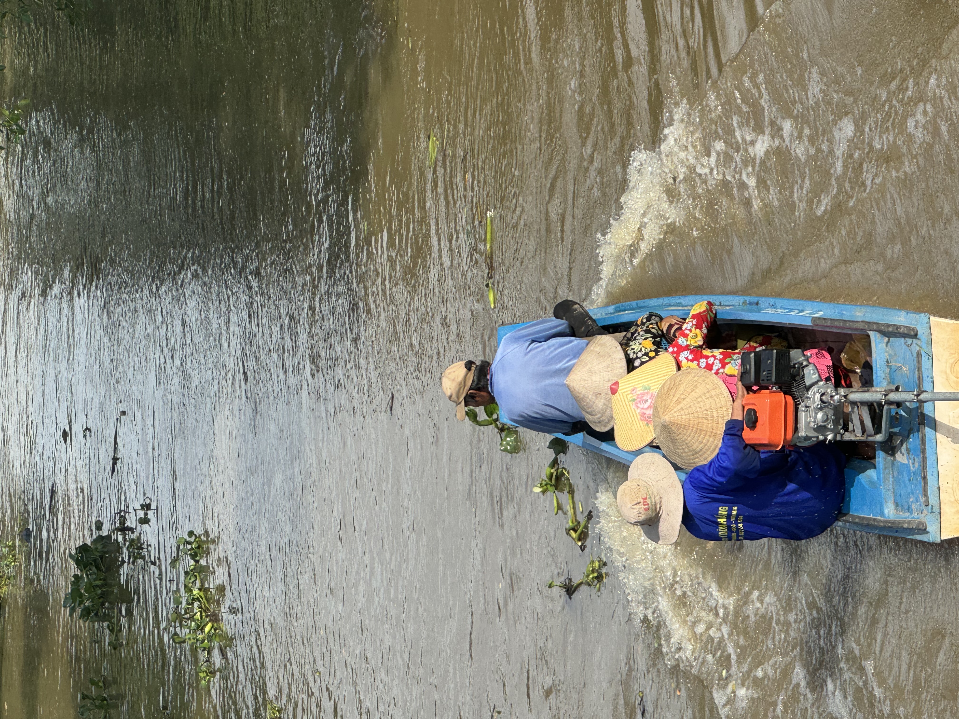Explore U Minh Thuong Forest and The Bike trip In Pineapple Villages