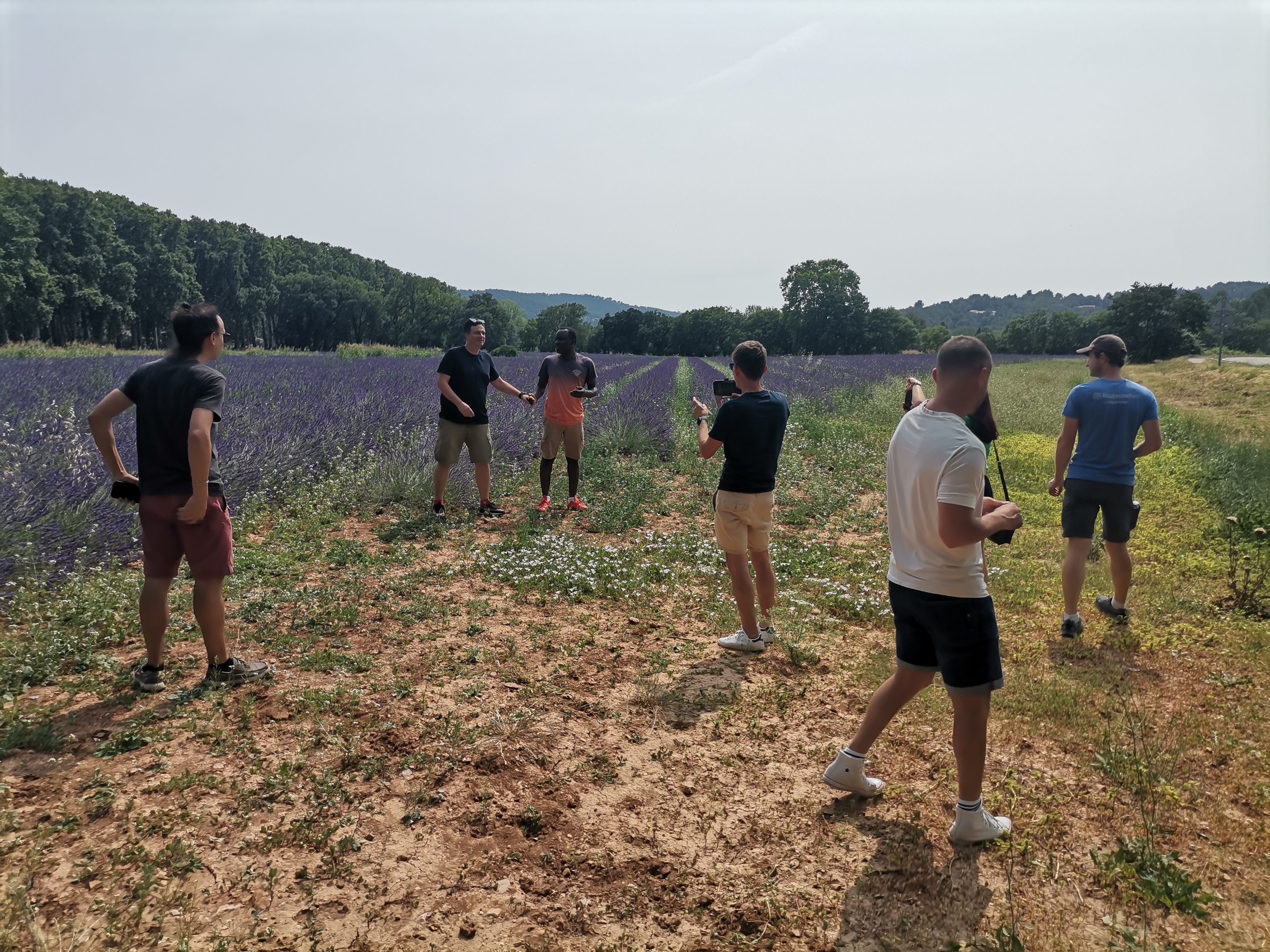 Live a real and unique experience in a lavender field - Photo 10
