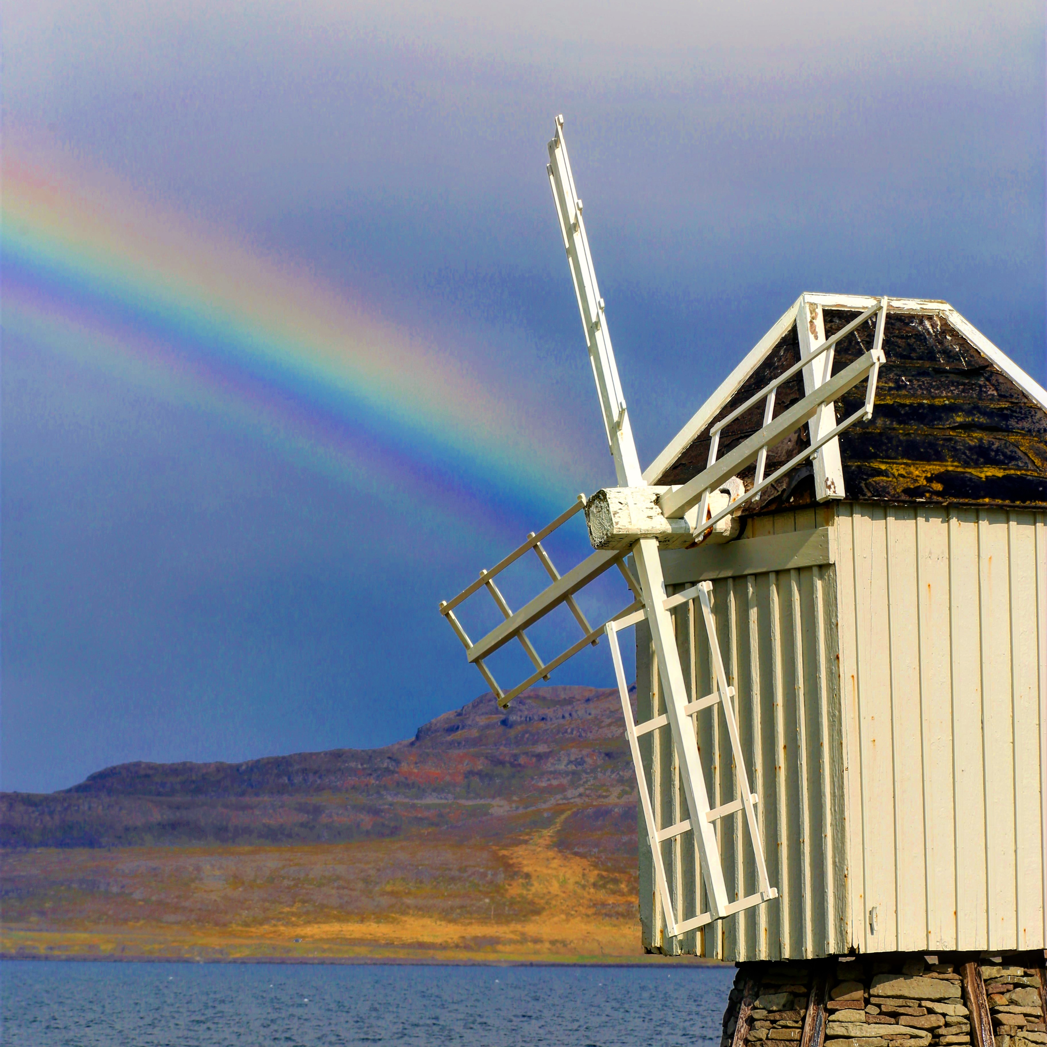 Official Vigur Island Tour (with return boat transfer from Ísafjörður) - photo 11