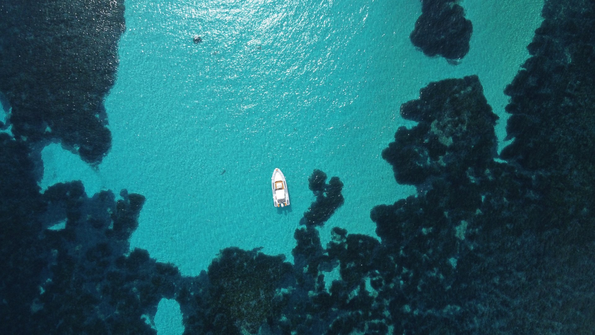 From Stintino: RIB tour in the gulf of Asinara - Photo 8