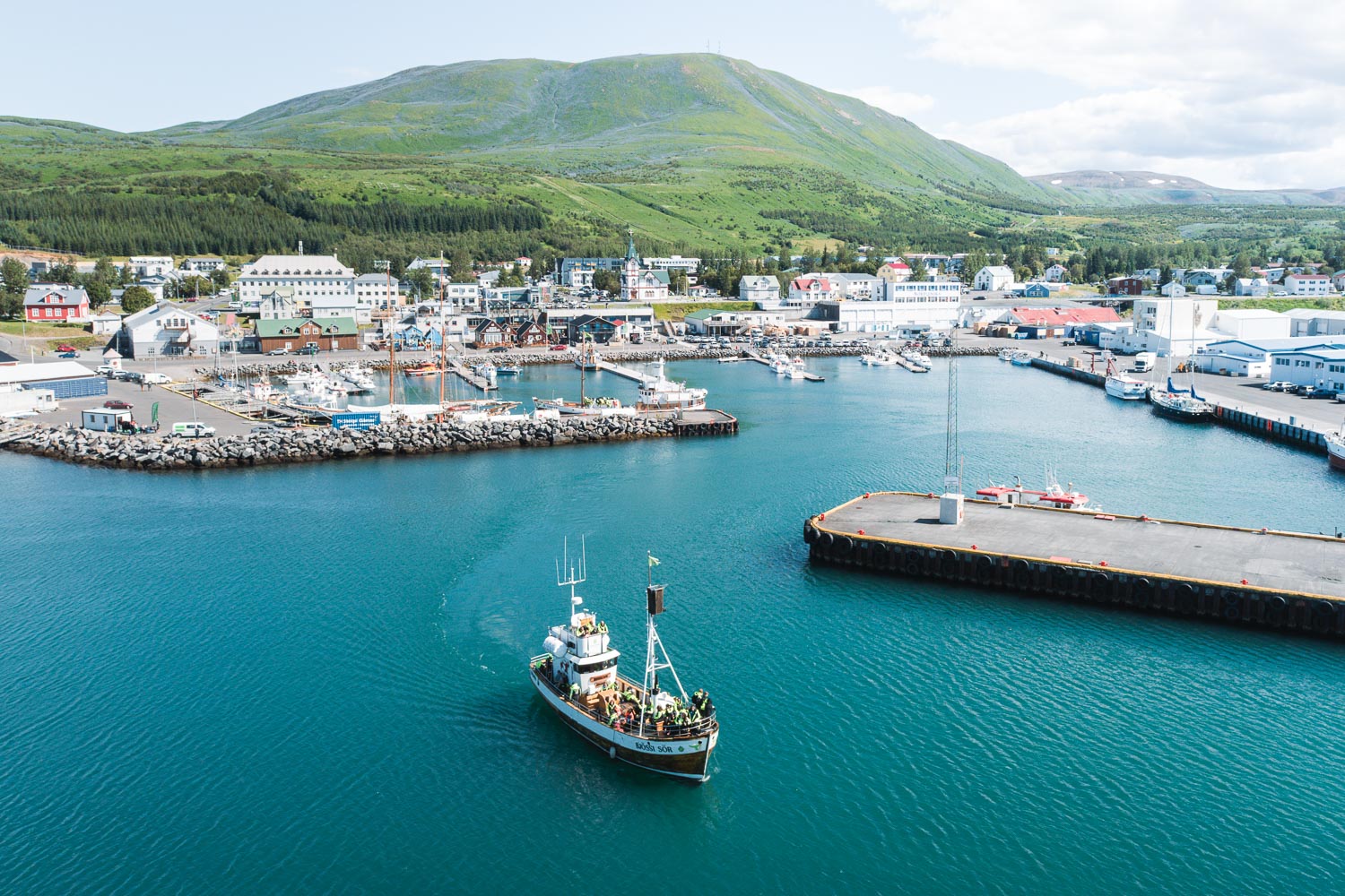 Whales and Horses - photo 4