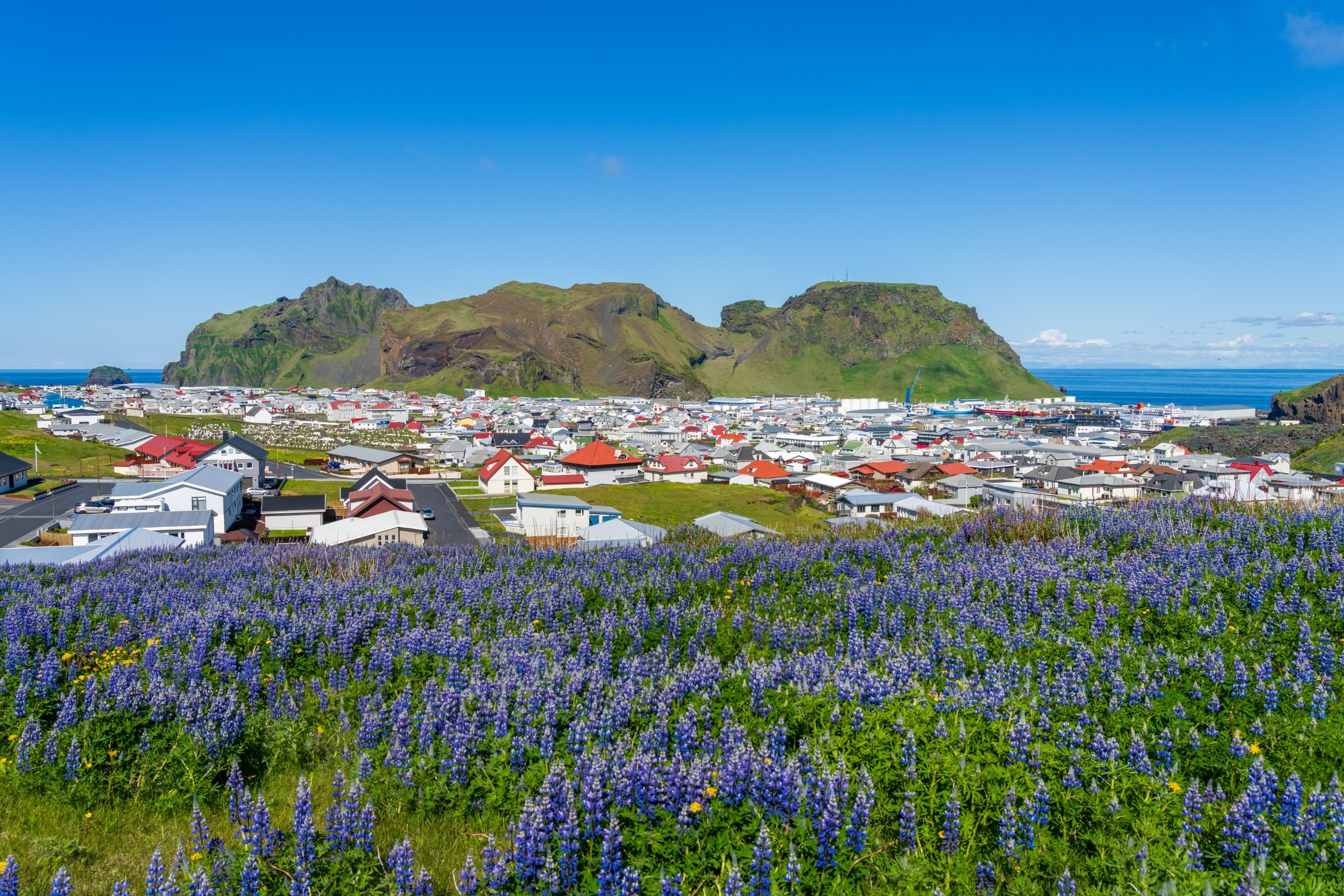 Iceland: Private Westman Islands - Volcano, Wildlife & Scenic Views - photo 4