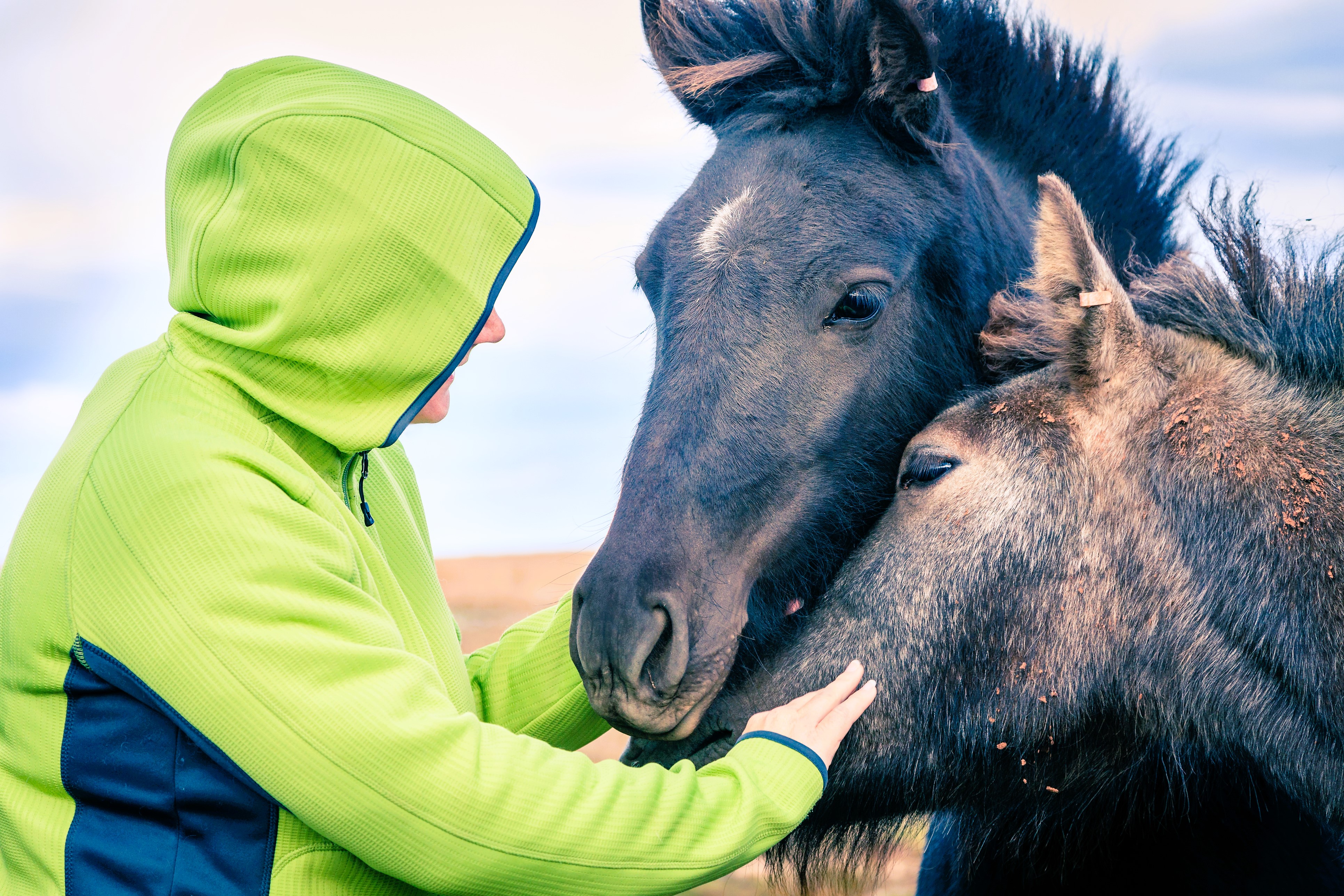 Iceland Solar Eclipse 2026 – Snæfellsnes Experience with Home-Cooked Dinner by Minibus - photo 10