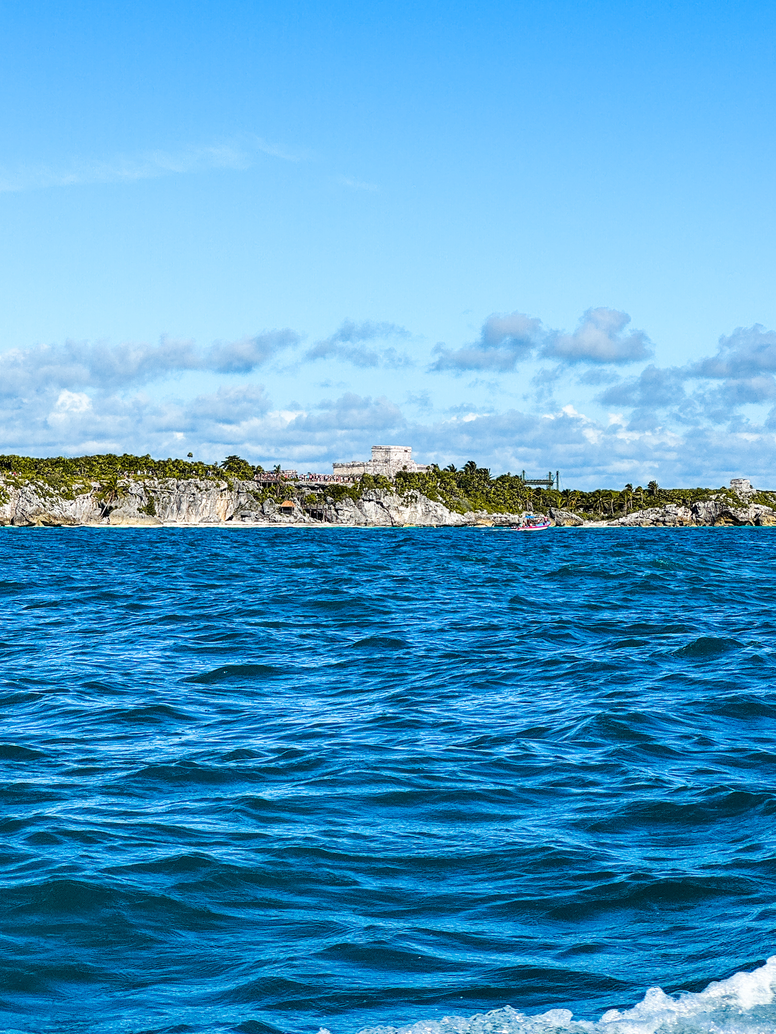 1.5 hours Snorkeling at Tulum's paradise reef — 90/92