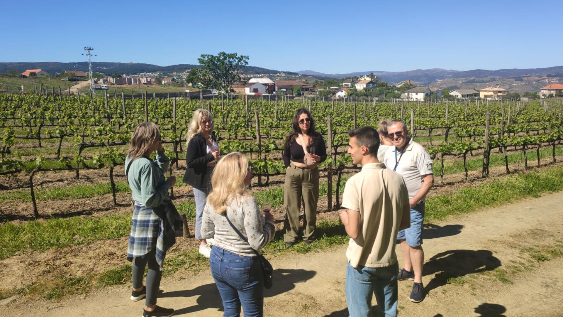 Douro Valley Small Group Tour with Wine Tastings, Lunch and River Cruise  - Photo 30