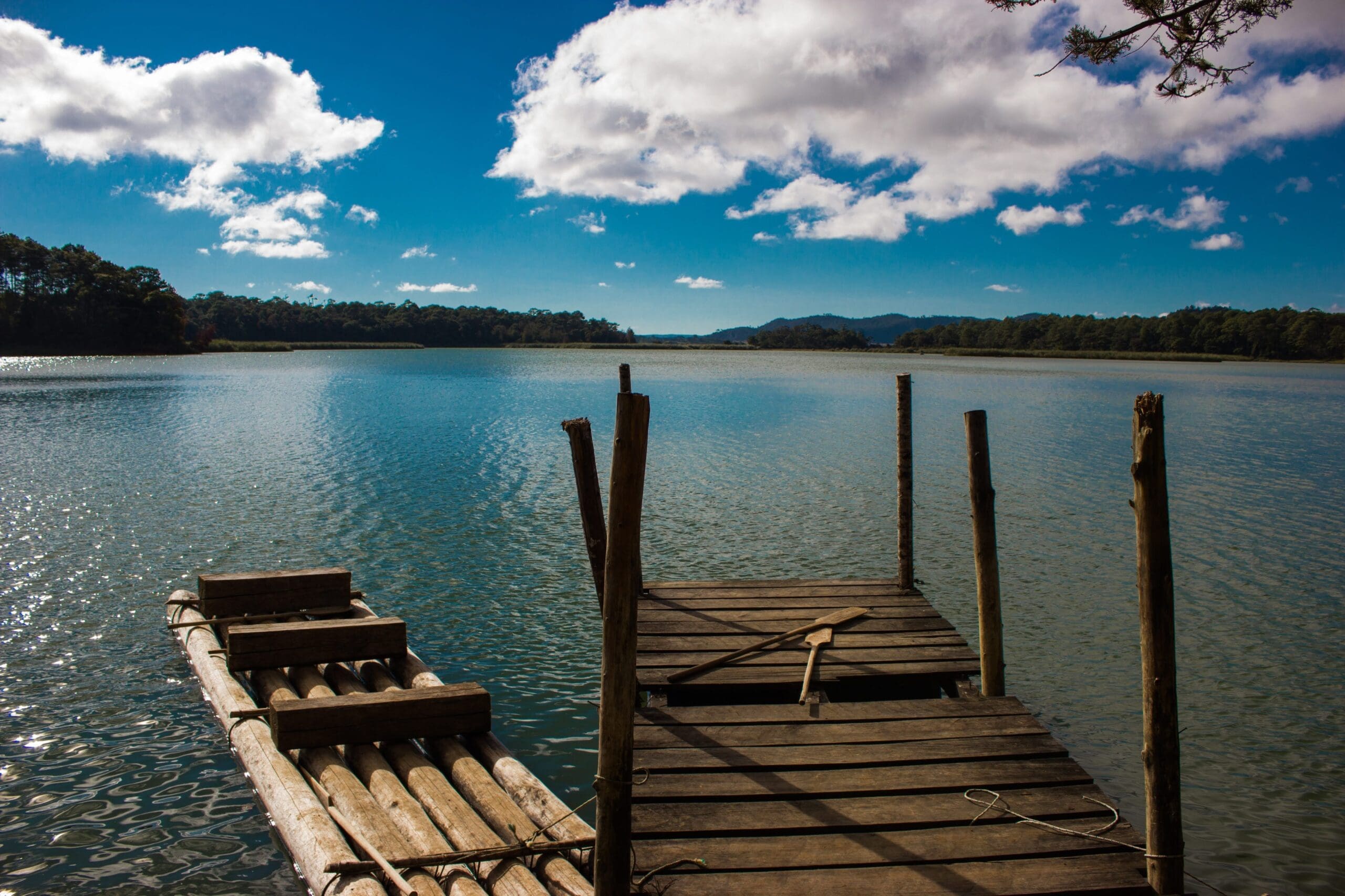 Tour por Palenque: Explore Ruinas, Sitios Arqueológicos y Naturaleza (10 Días) — 7/10