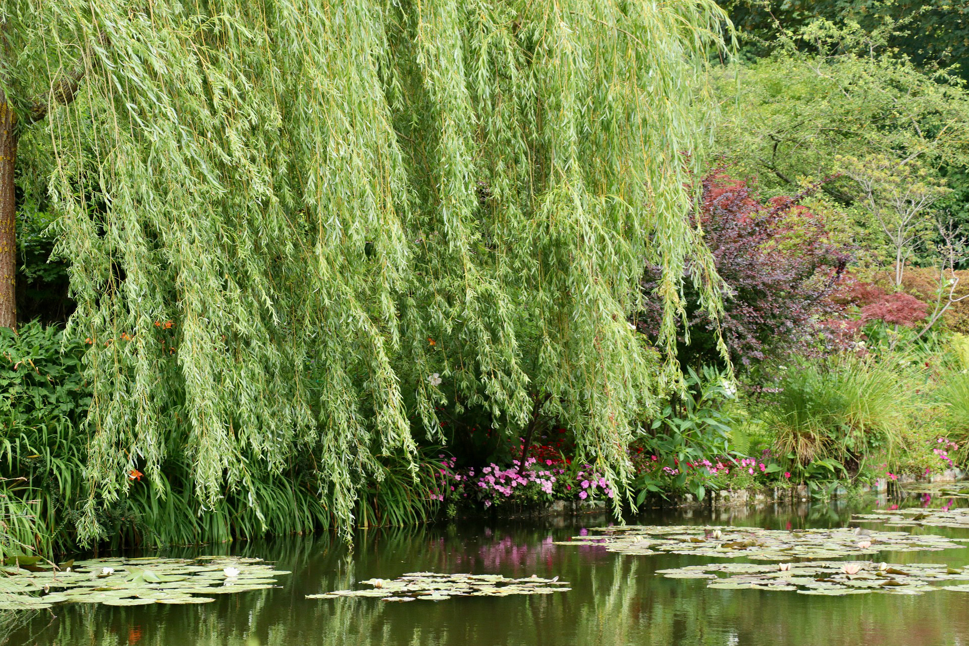 3-day Private D-Day, Giverny, Honfleur, Rouen, Mont Saint-Michel Trip by Minivan. - Photo 56