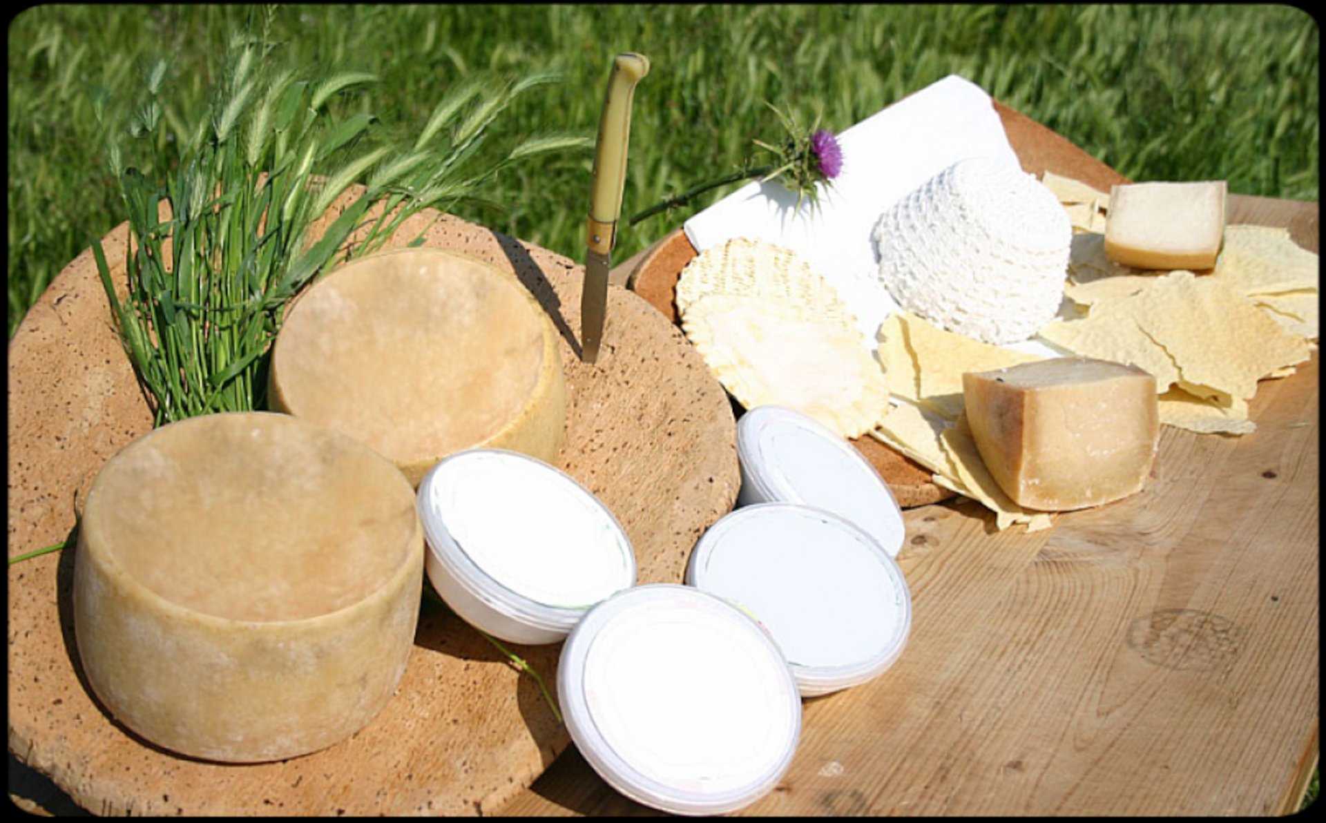 Bitti: shepherd's day with lunch - Photo 3