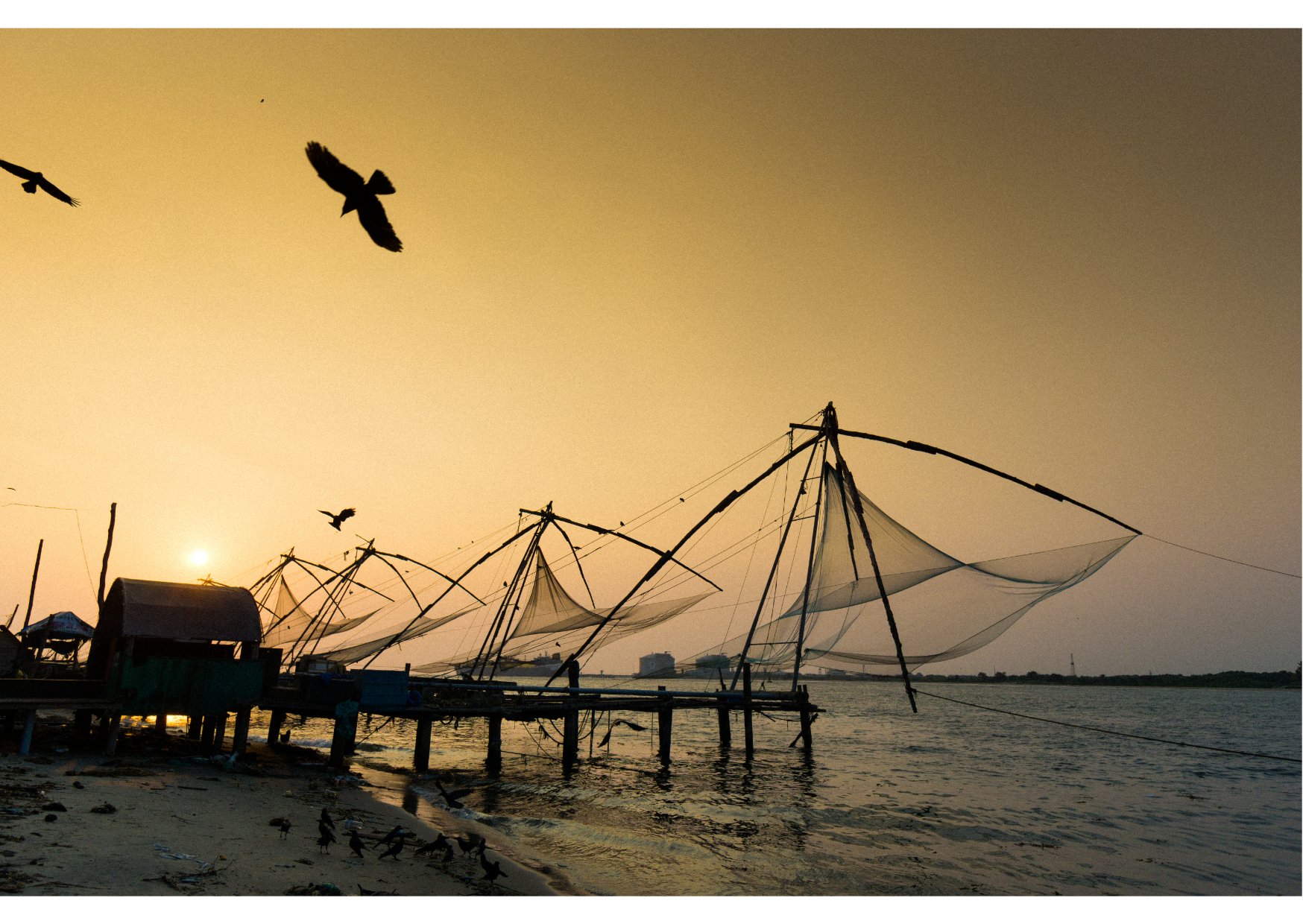 NIGHT WALK TOUR KOCHI - Photo 6