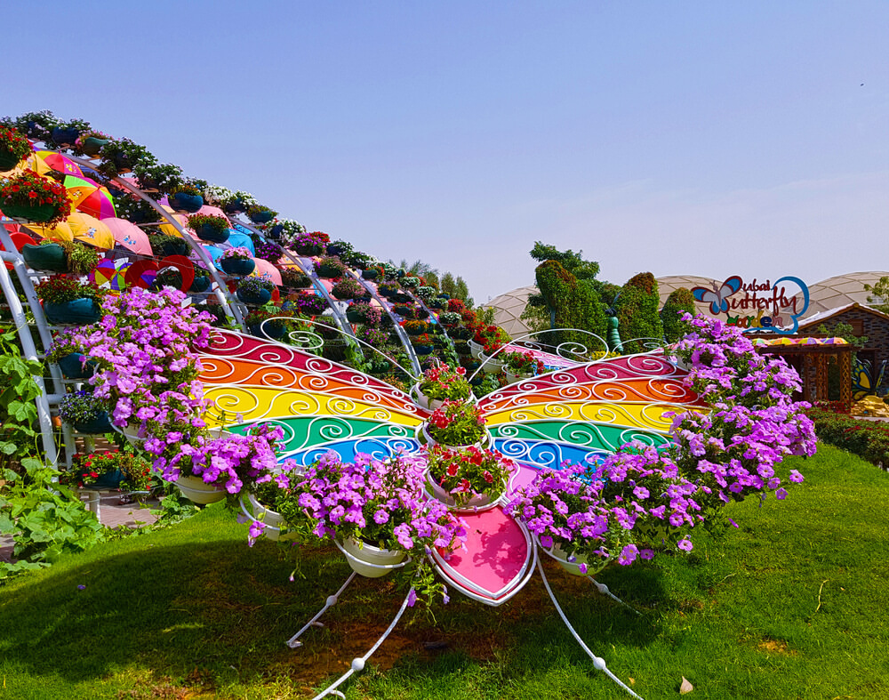 Miracle Garden and Butterfly Garden – Image 4 | WeShare