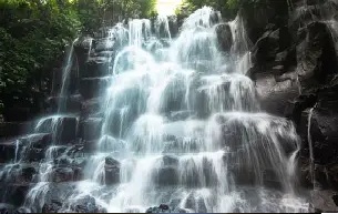 Tour de la cascada de Ubud - Foto 4