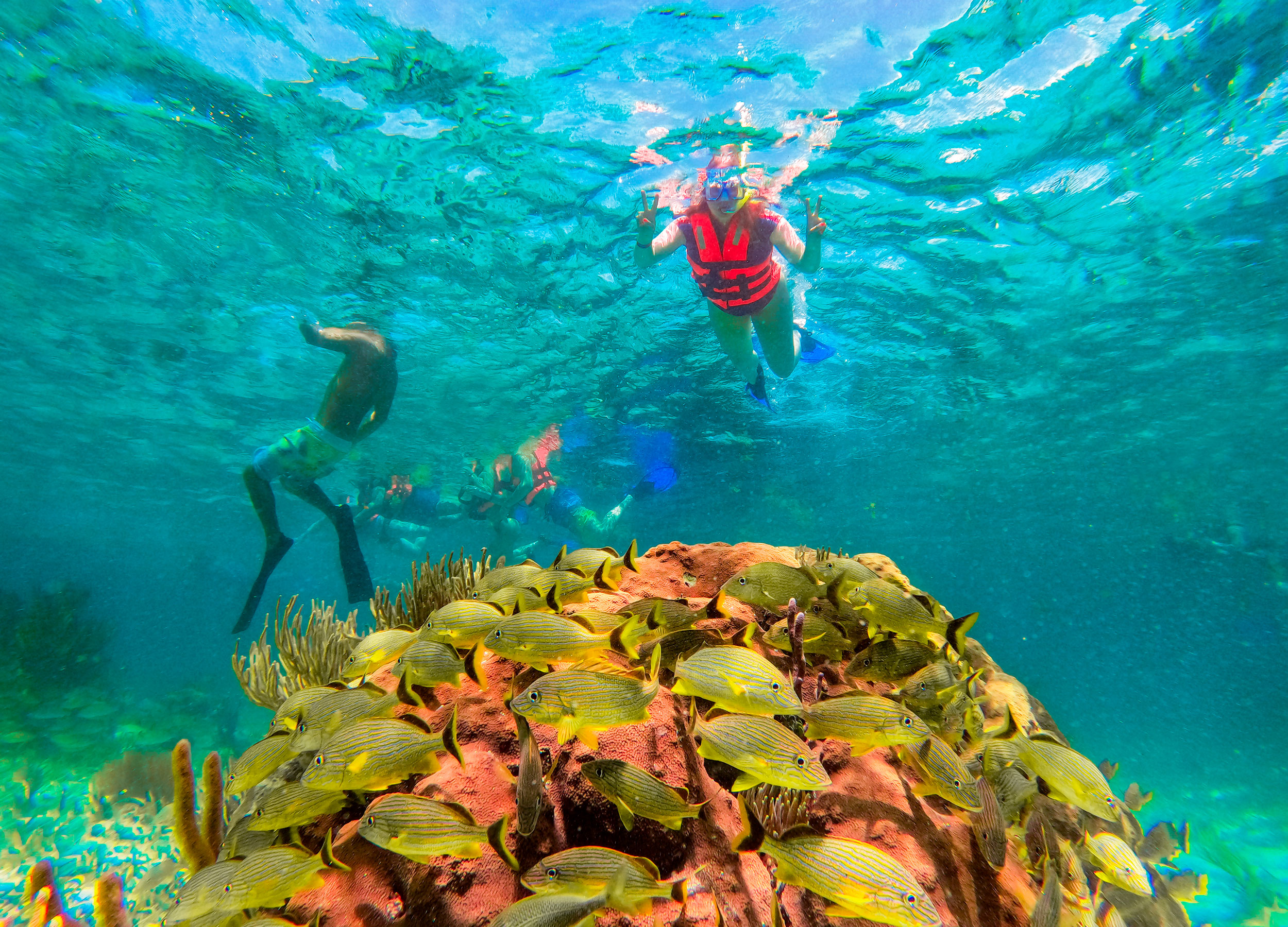 Esnórquel en Arrecifes del Parque Nacional desde Cancún con Almuerzo frente a la Playa — 4/21