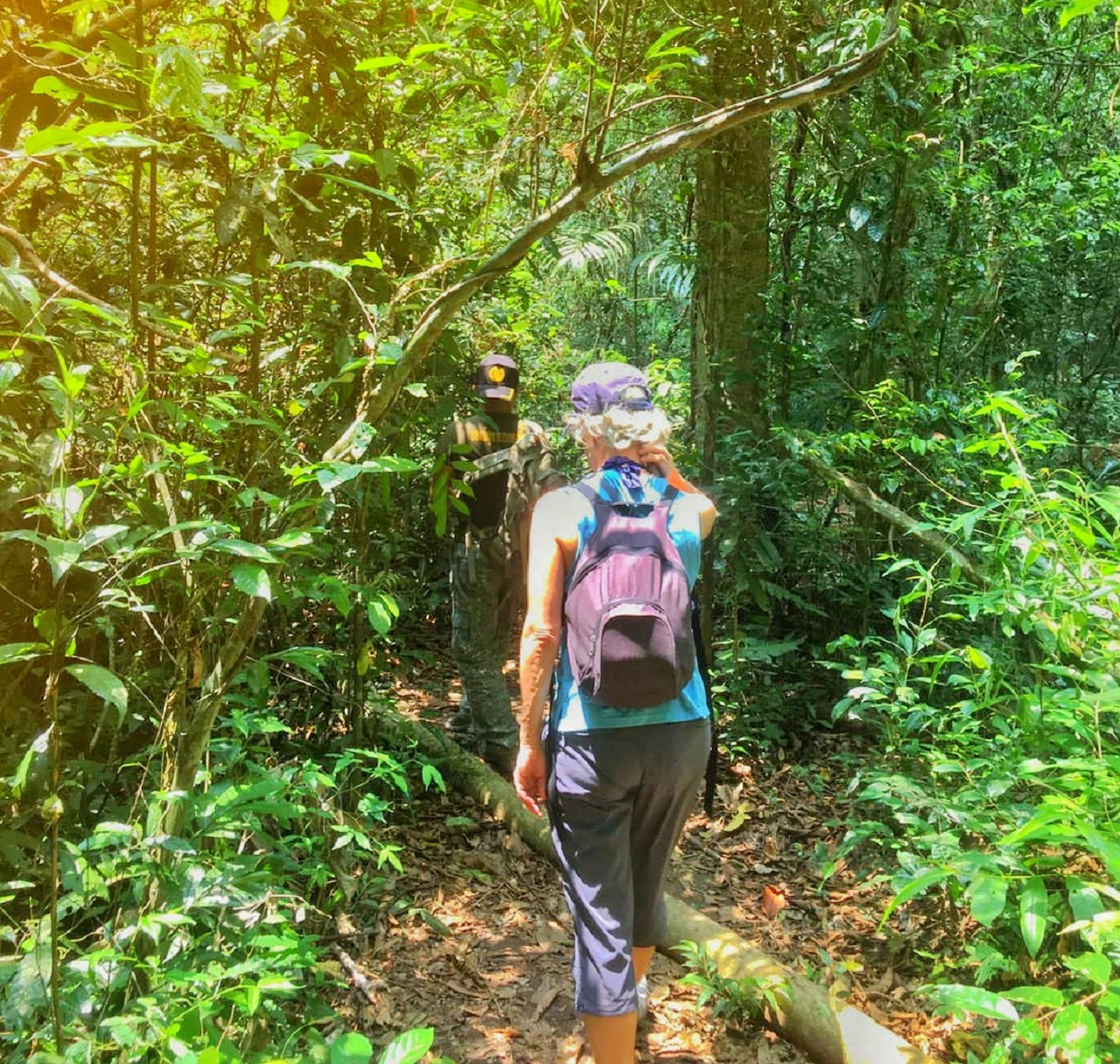 Khao Yai National Park Tour with Waterfalls from Bangkok: Semiprivate or Private Option with Pickup
 - Accommodations in Bangkok