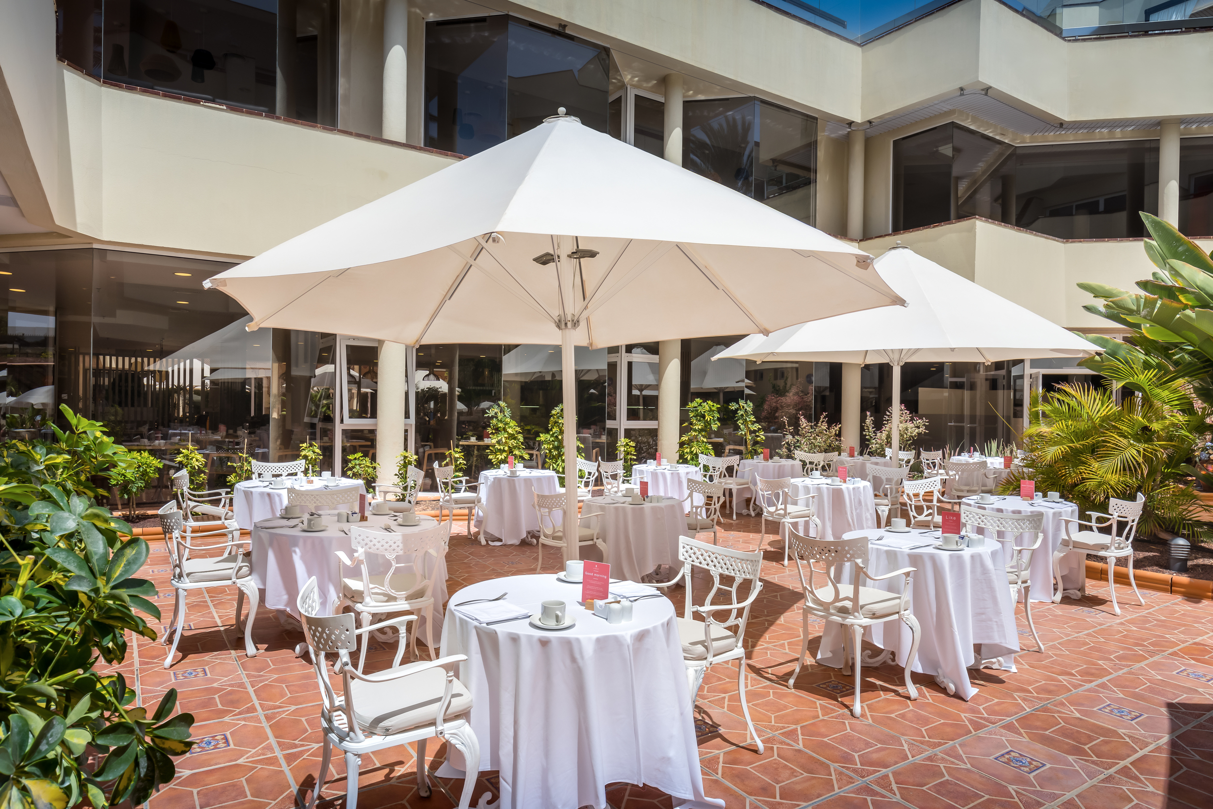 Sweet Tea & Coffee Time