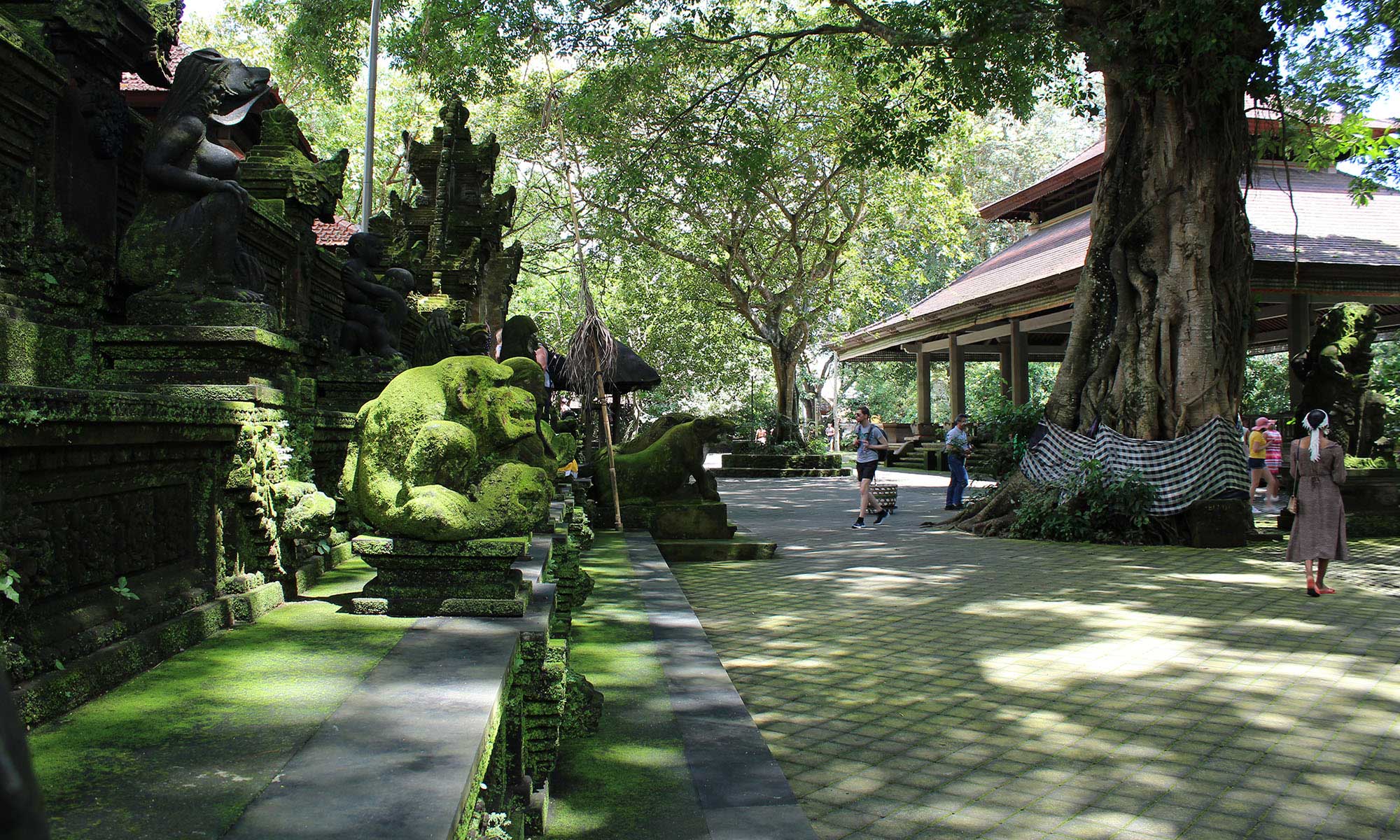 Best of Ubud : Monkey forest - Swing - Rice Terrace - Temple 