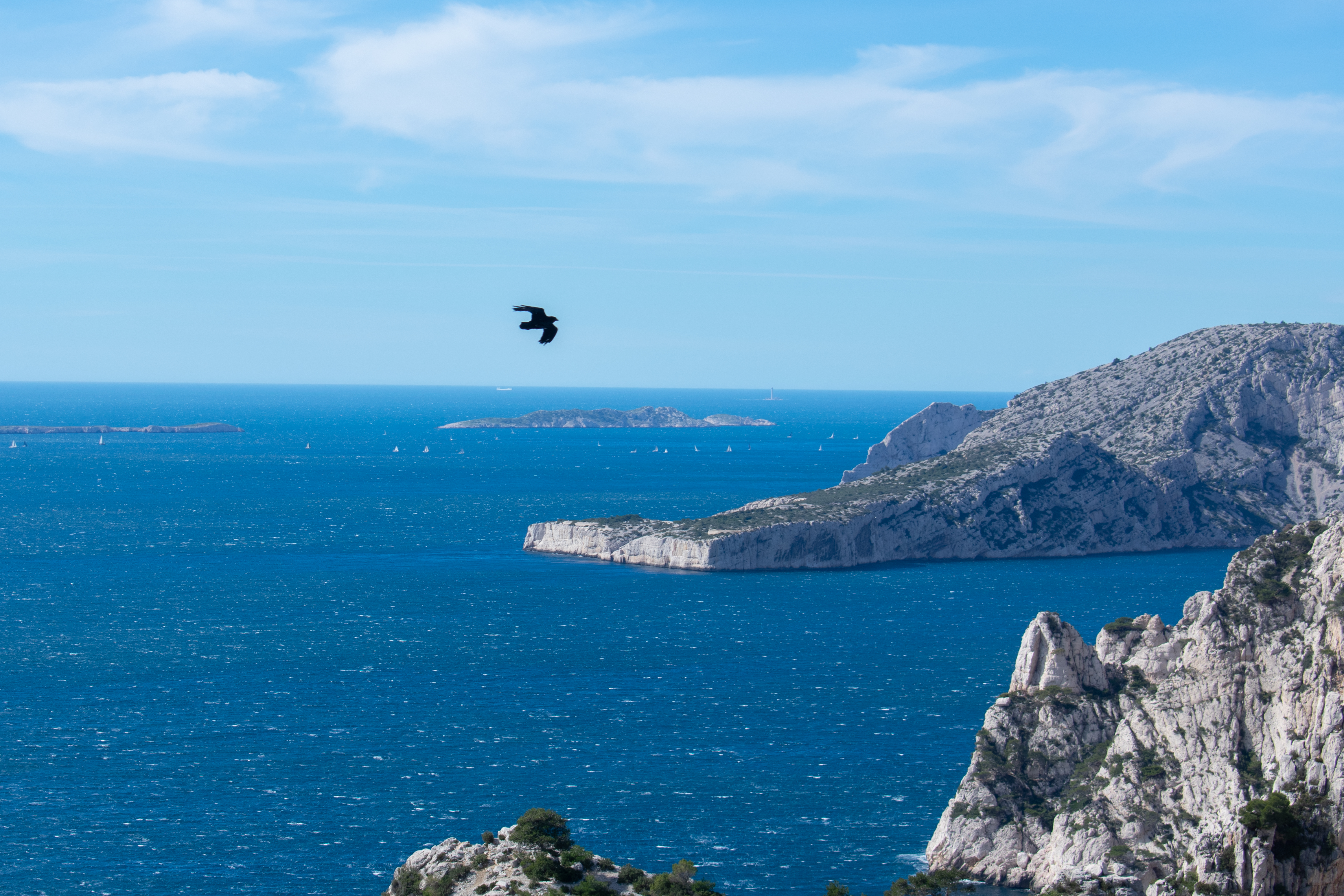Hiking in the Calanques national park from Luminy  - Photo 13