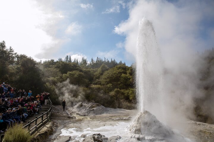 Auckland: VIAJE DE IDA a ROTORUA a través de Wai O Tapu, Redwood Forest y entrega en los hoteles centrales de Rotorua