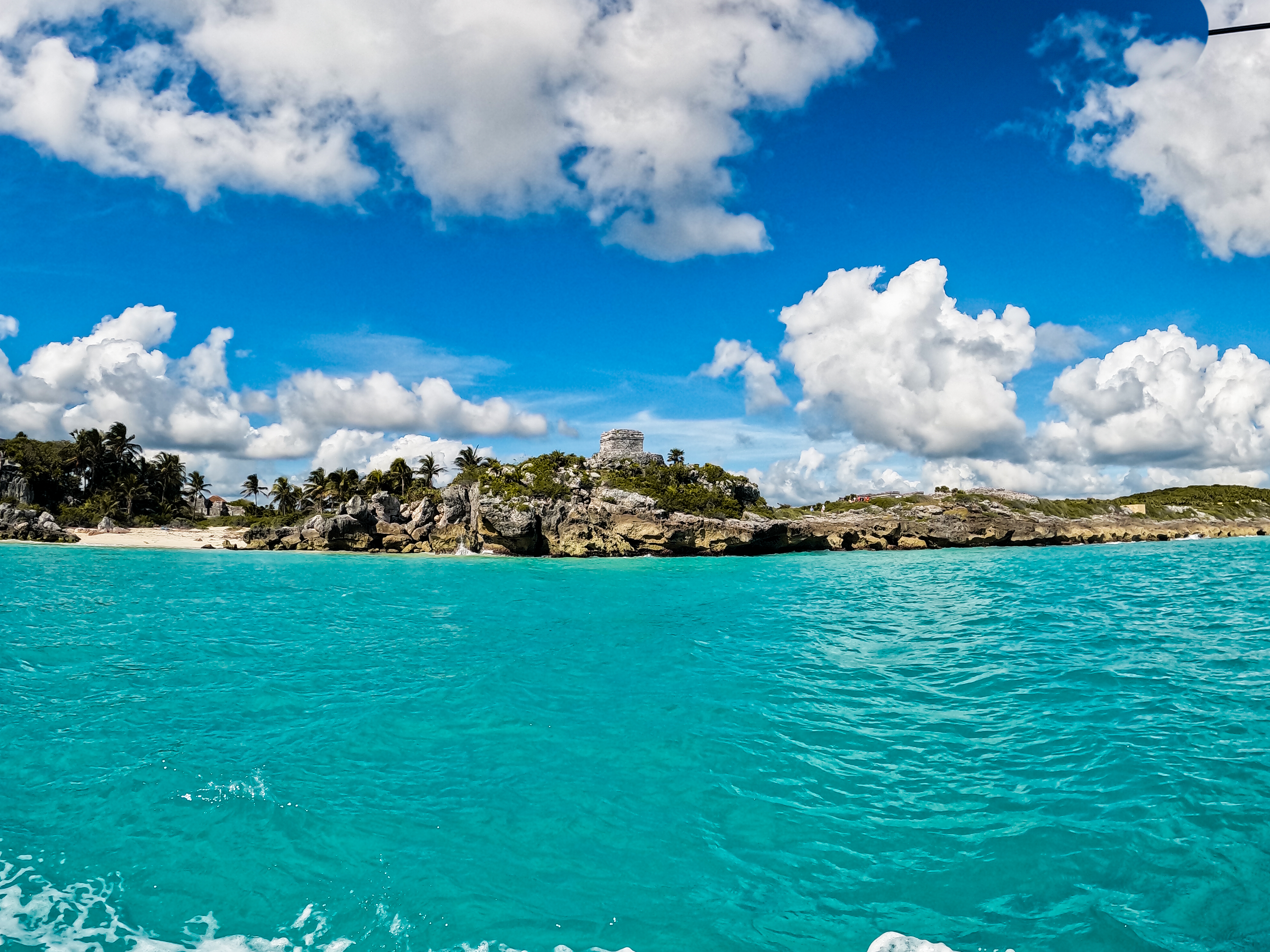 1.5 hours Snorkeling at Tulum's paradise reef — 23/92