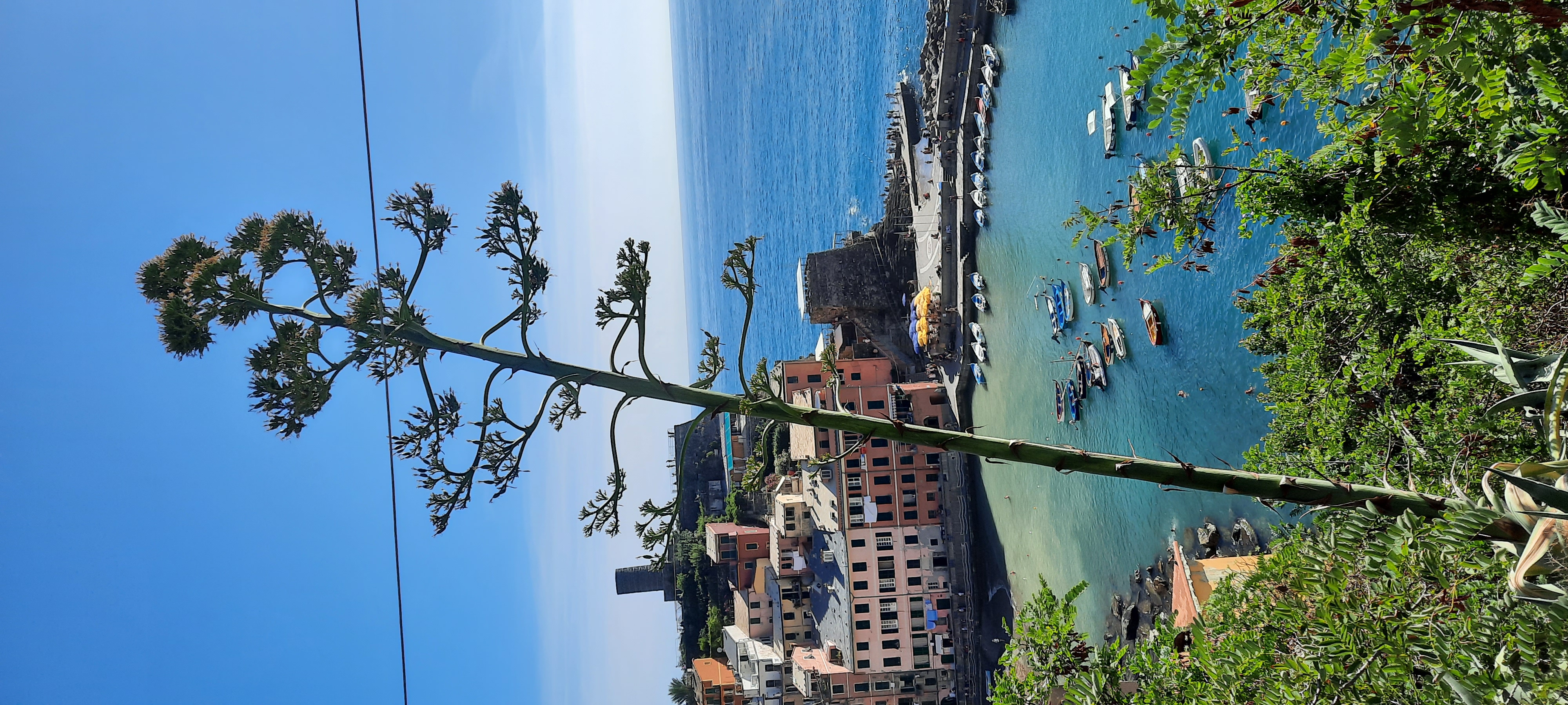 Cinque Terre Day Tour from Montecatini - Small Group -  - Photo 12