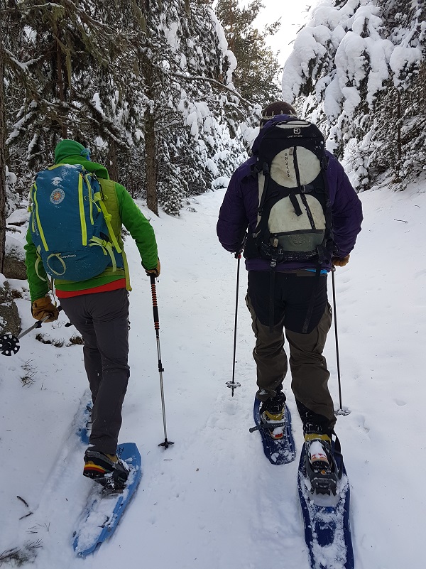 8 Days / 7 nights - Snowshoeing Adventure in Germany & Austria - Photo 3