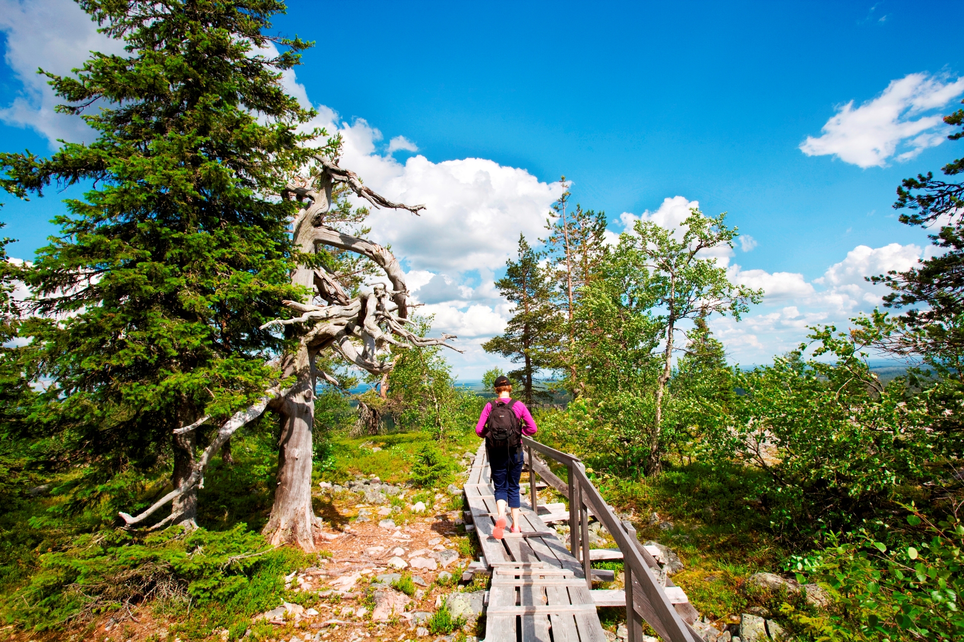 Trip to Auttikongas Water Falls - Rovaniemi – Image 2 | WeShare