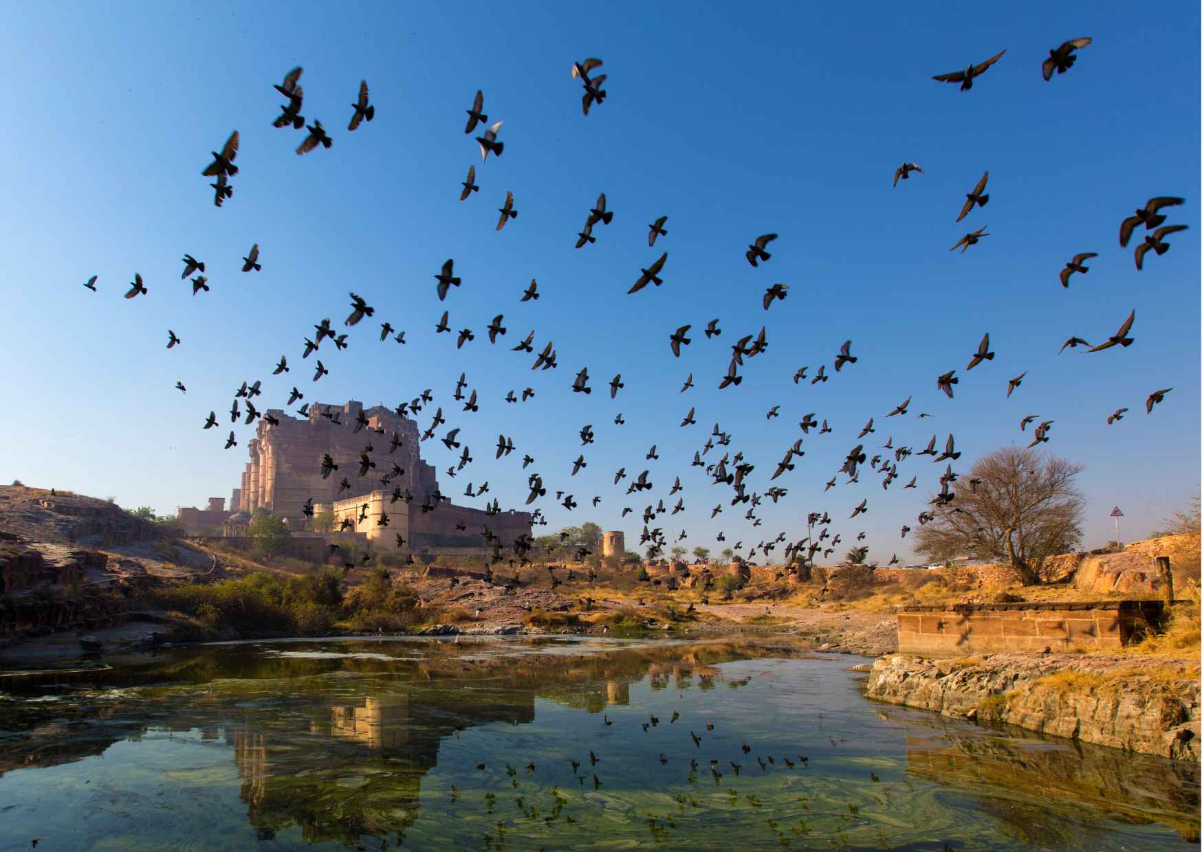 Highlights of the Jodhpur (Guided Half Day City Tour) - Photo 6