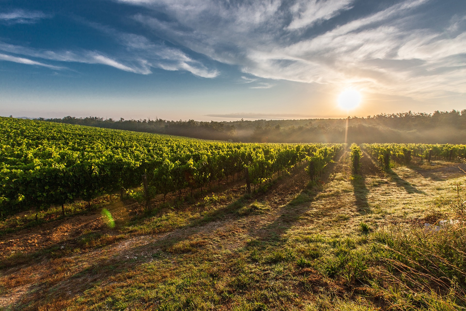 Tuscany4You | Independent Tour with Shared Daily Excursions | 8days/7nights - Photo 23