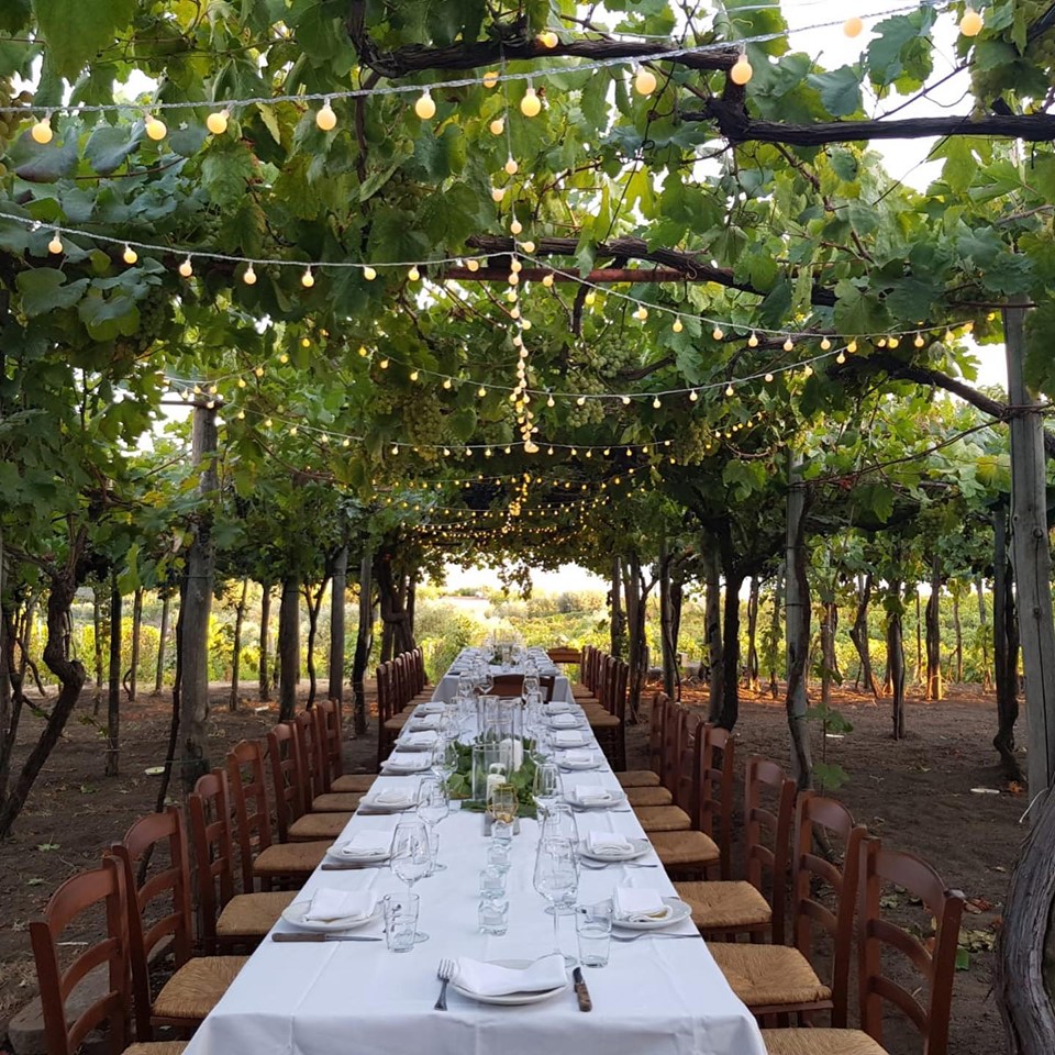 Dinner in the Vineyard at Sunset on the slopes of Vesuvius - Photo 3